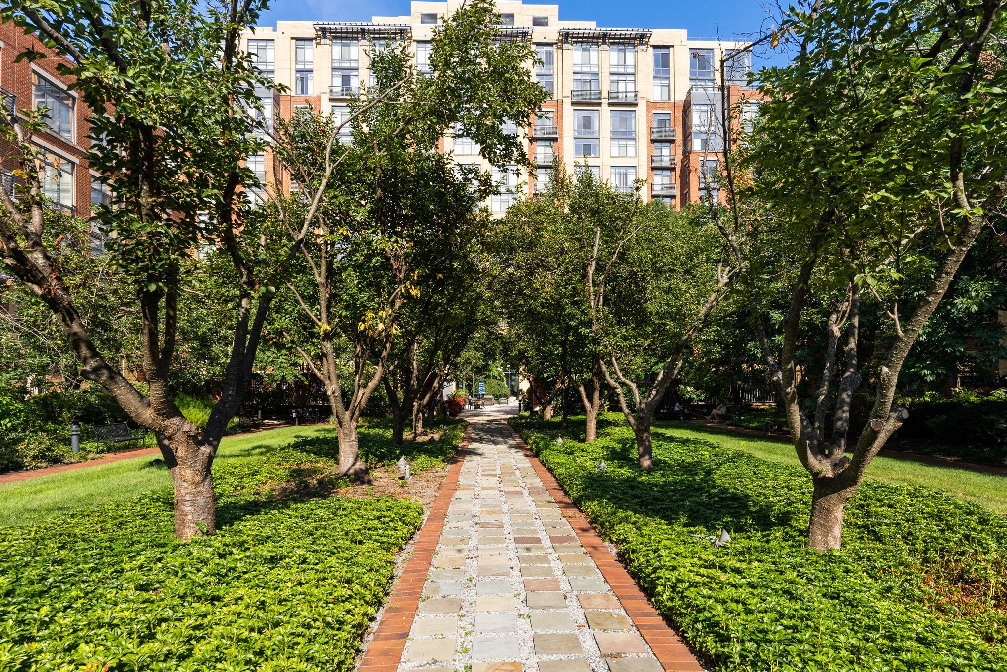  520 John Carlyle Street, Alexandria, VA, 22314 - 物件實景