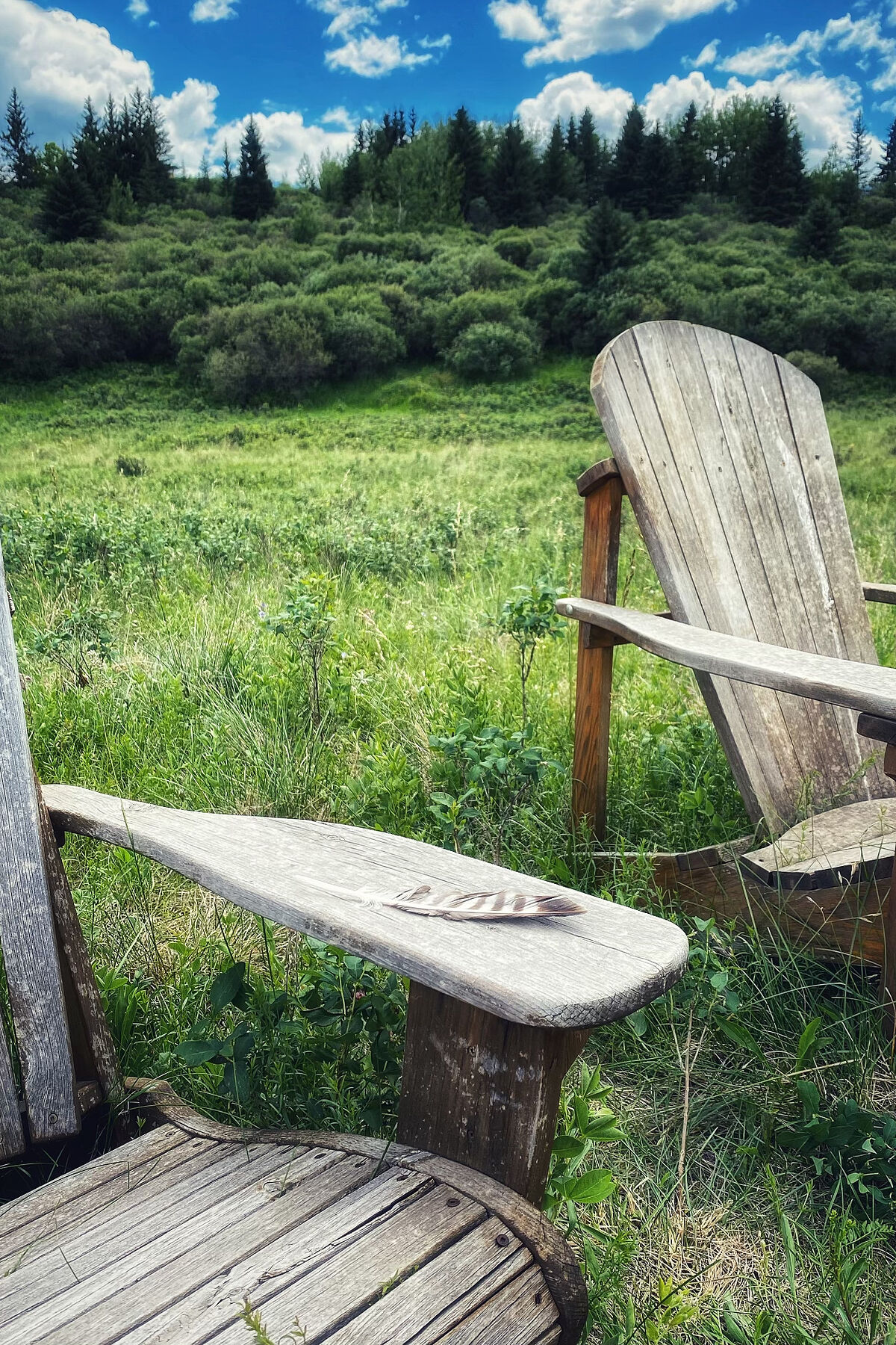  Rural Rocky View County, Rocky View - 物件實景