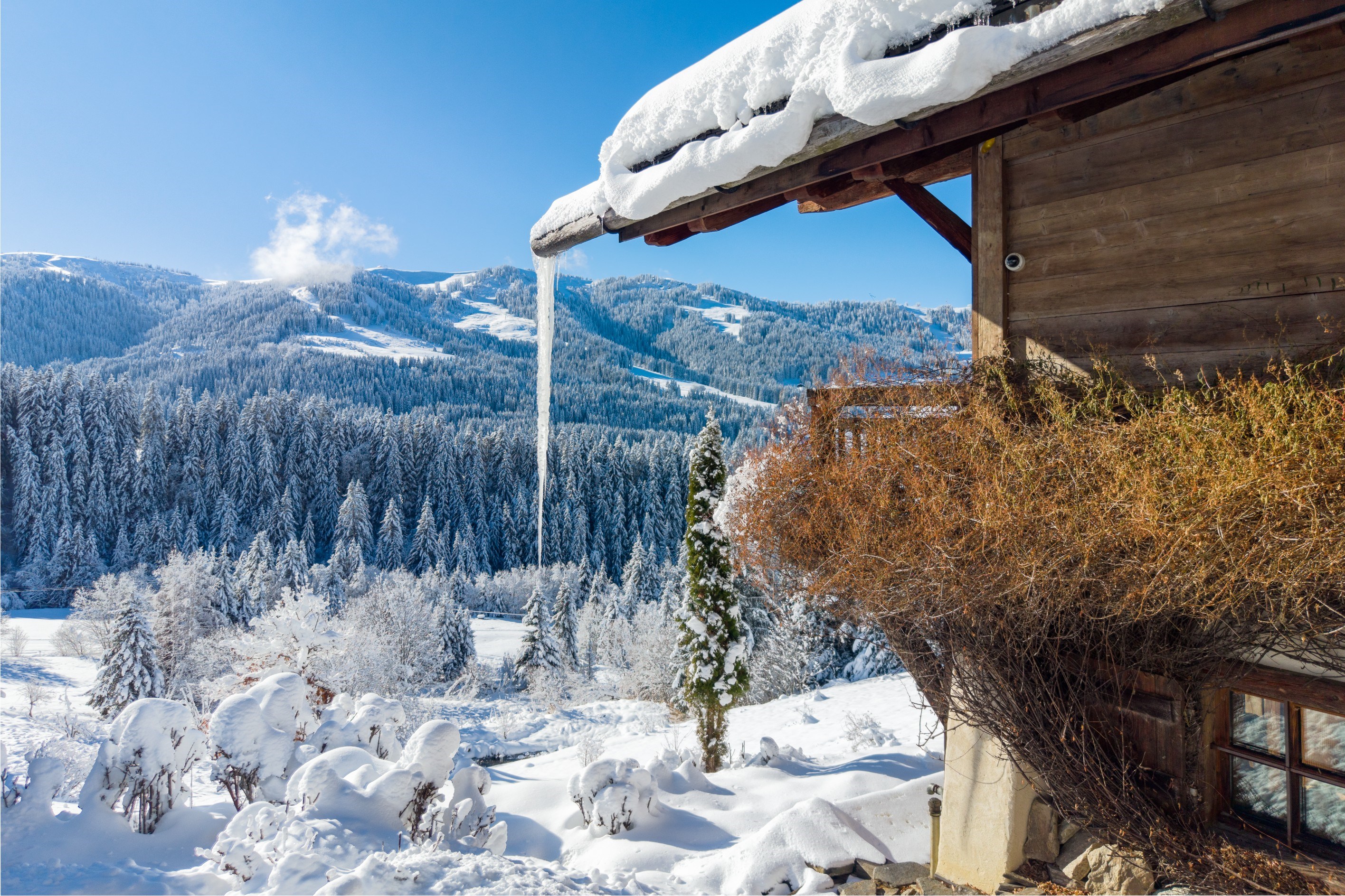 Domaine Épervier - Two connected chalets on a 20,000 m² plot - 物件實景