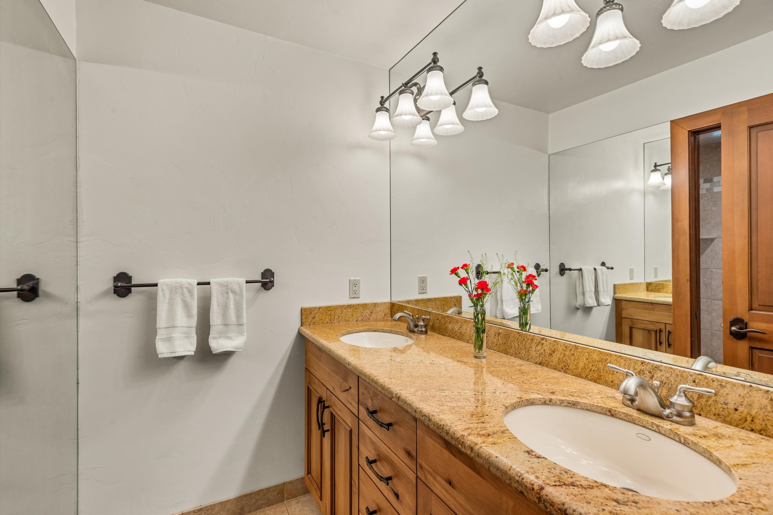  467 Snowmass Club Circle, Snowmass Village, CO, 81615 - 物件實景