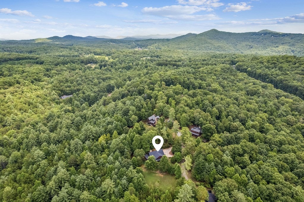 Morganton, Georgia, 30560, United States, 3 Bedrooms Bedrooms, ,3 BathroomsBathrooms,Residential,For Sale,1905378