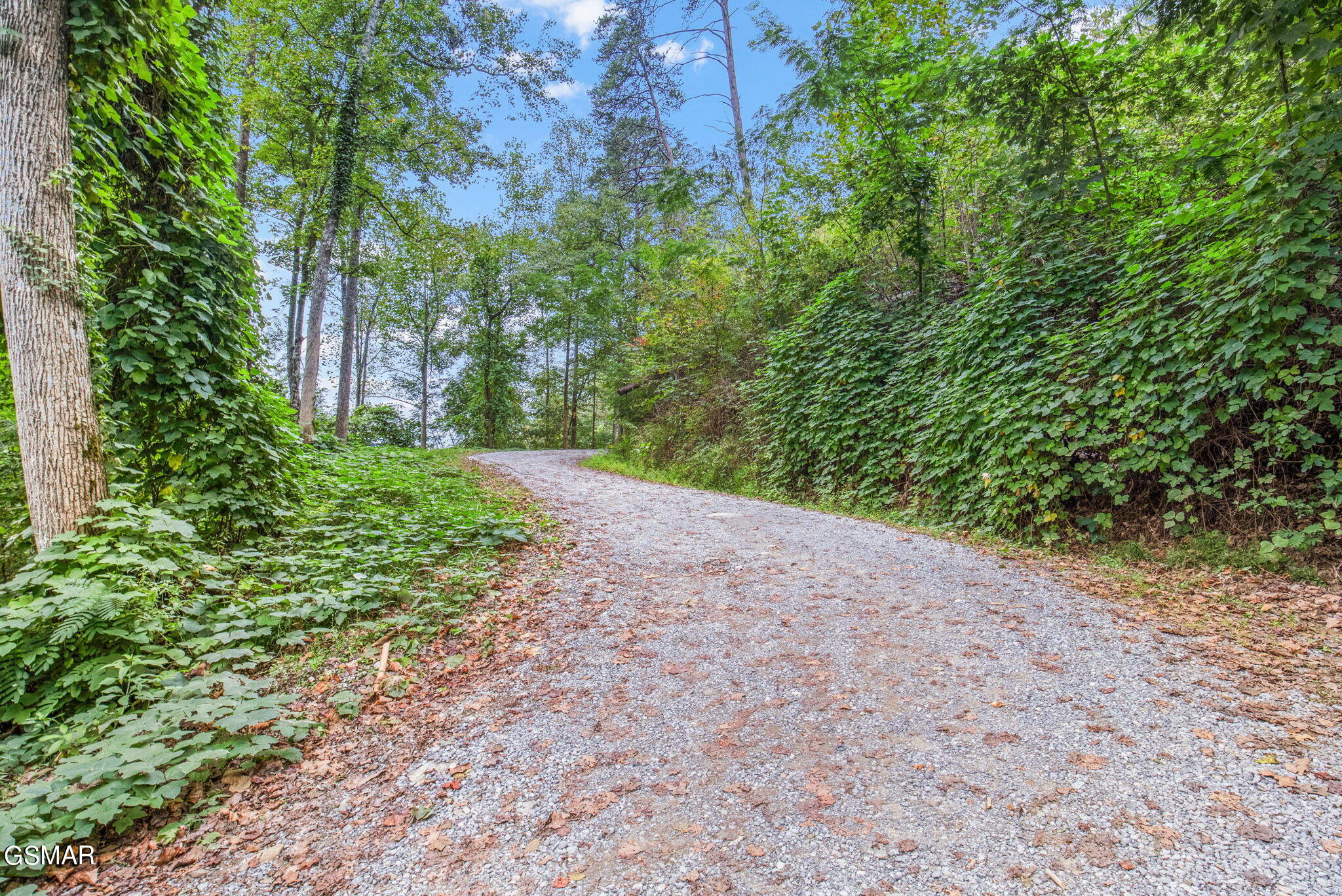 Gatlinburg, Tennessee, 37738, United States, ,Land,For Sale,1981809
