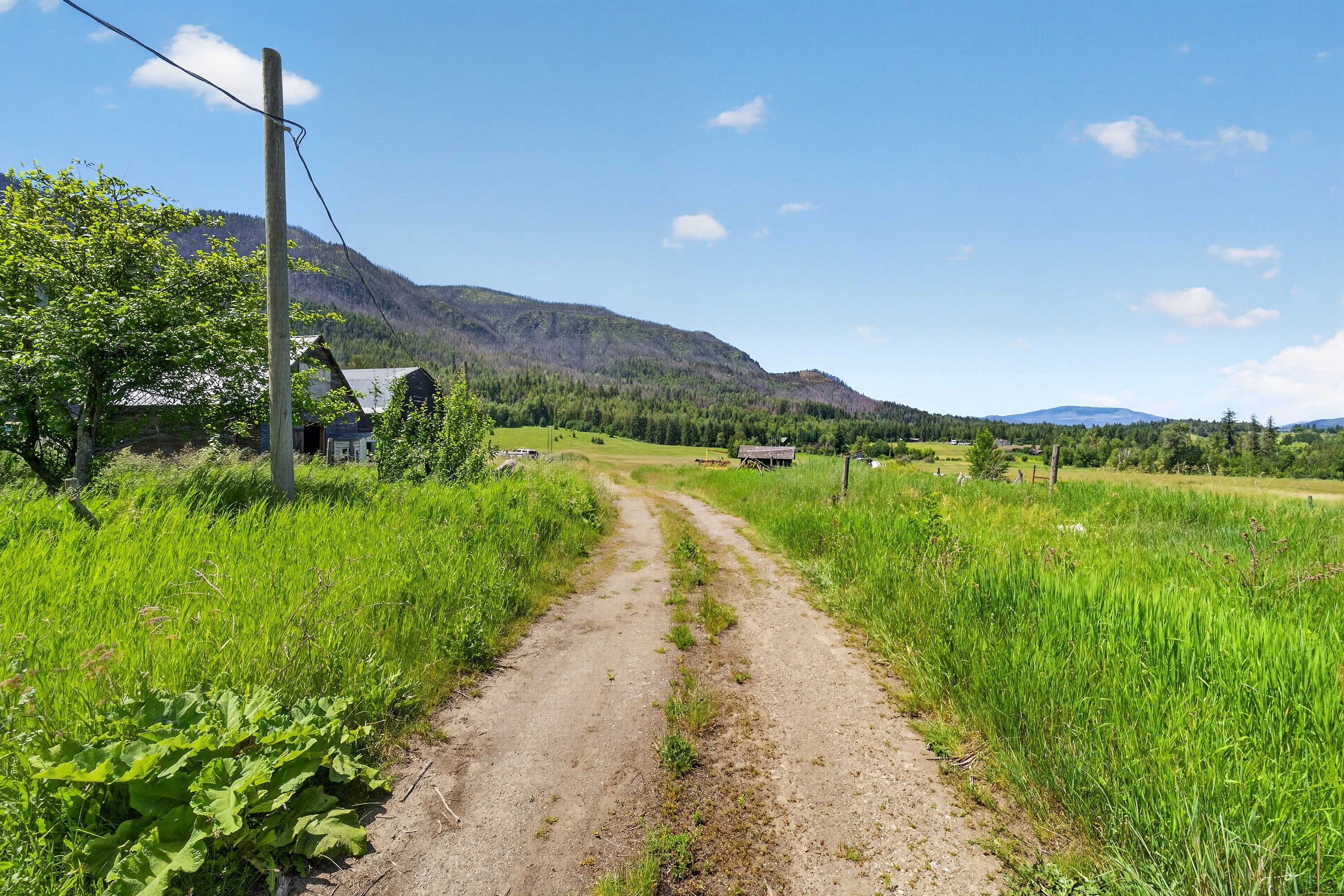  158 Acres Lakeview ALR Land - 物件實景