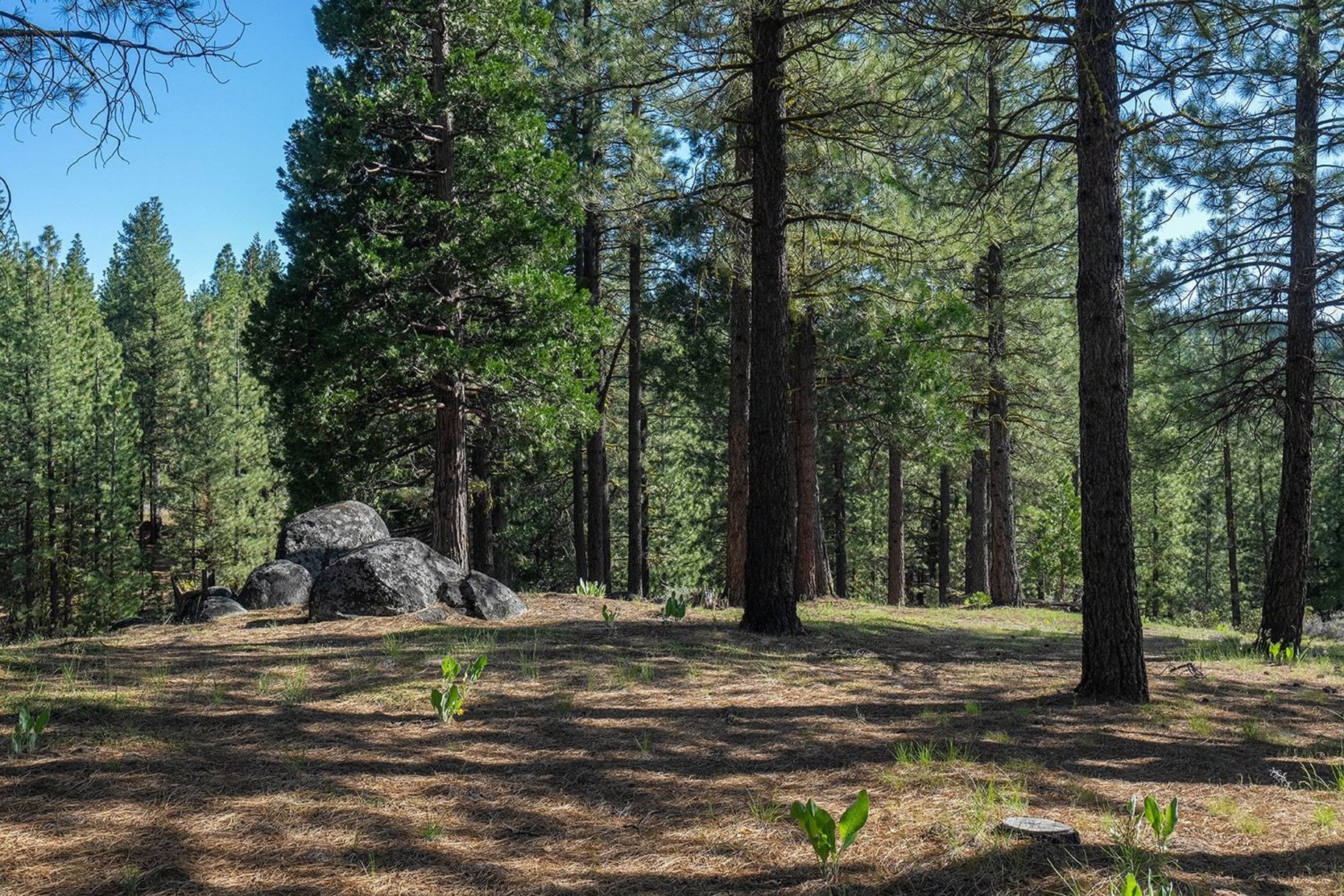  2.69 Private Acres in Nakoma with Stunning Eureka Peak Views - 物件實景