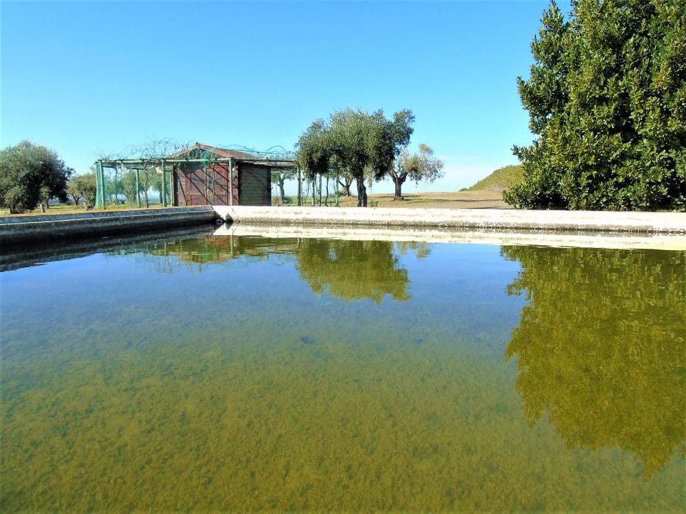 Ferreira do Alentejo, Beja, 7900-110, PT, 10 Bedrooms Bedrooms, ,11 BathroomsBathrooms,Residential,For Sale,1698854