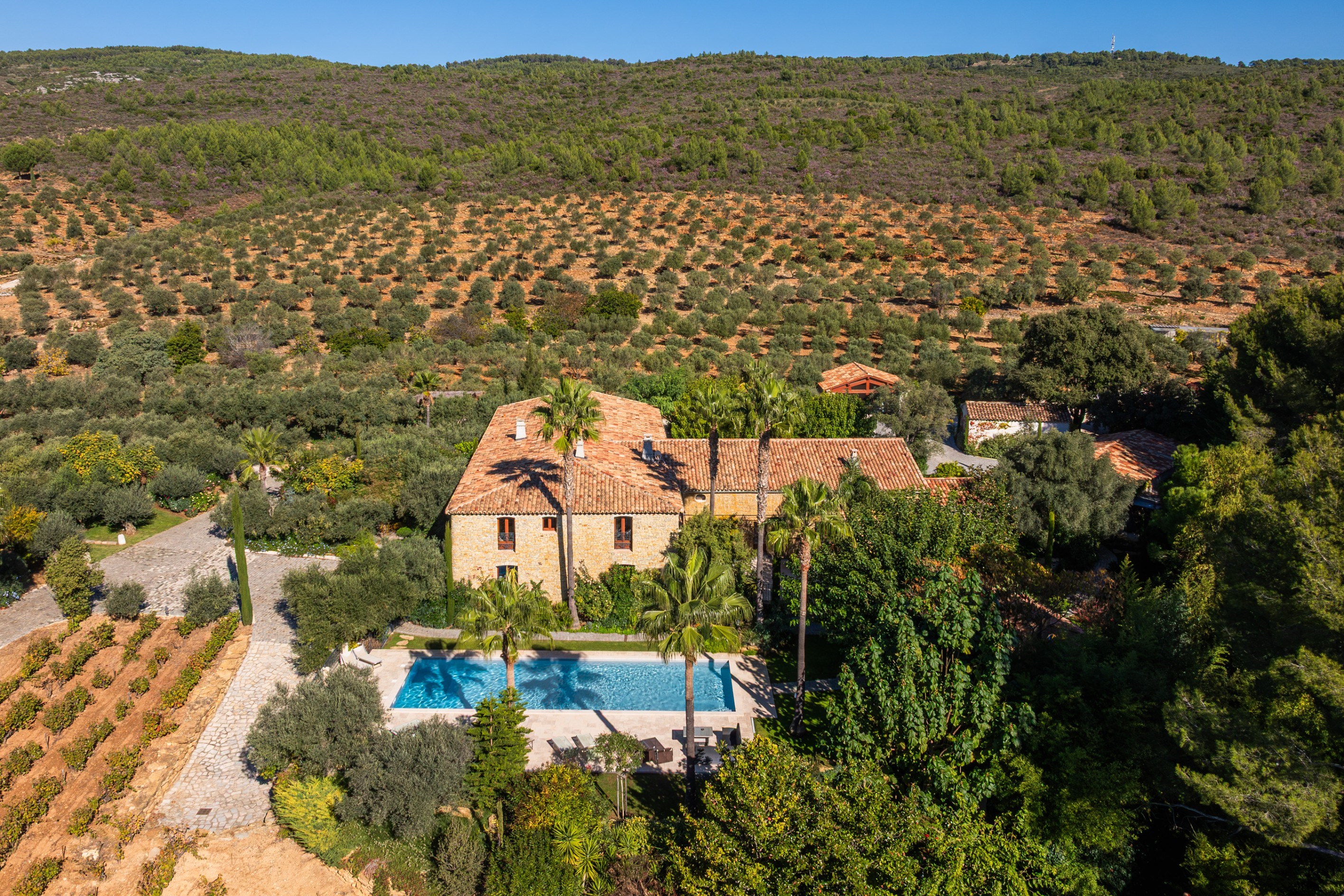  Le Castellet, Provence – Wine and Olive Estate - 物件實景