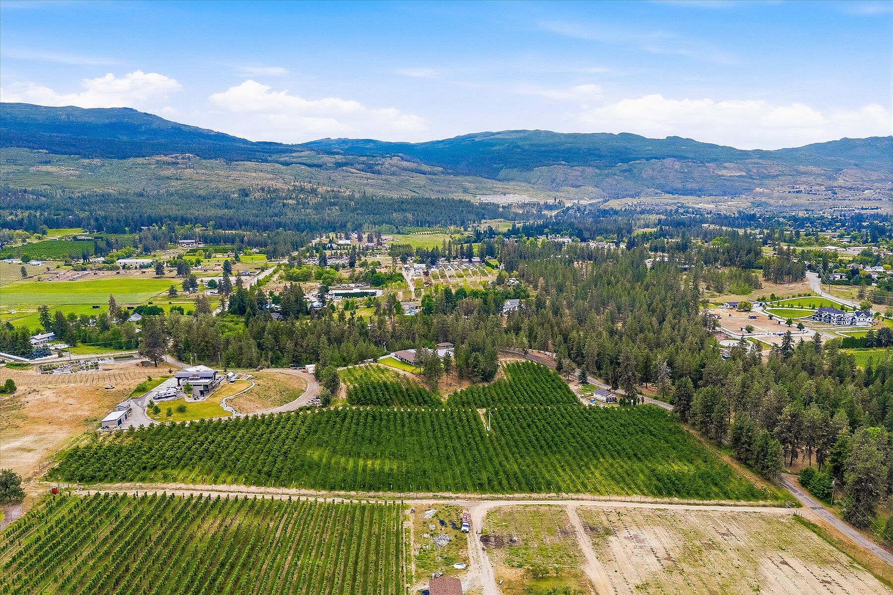  12.81 Acre Orchard - 物件實景