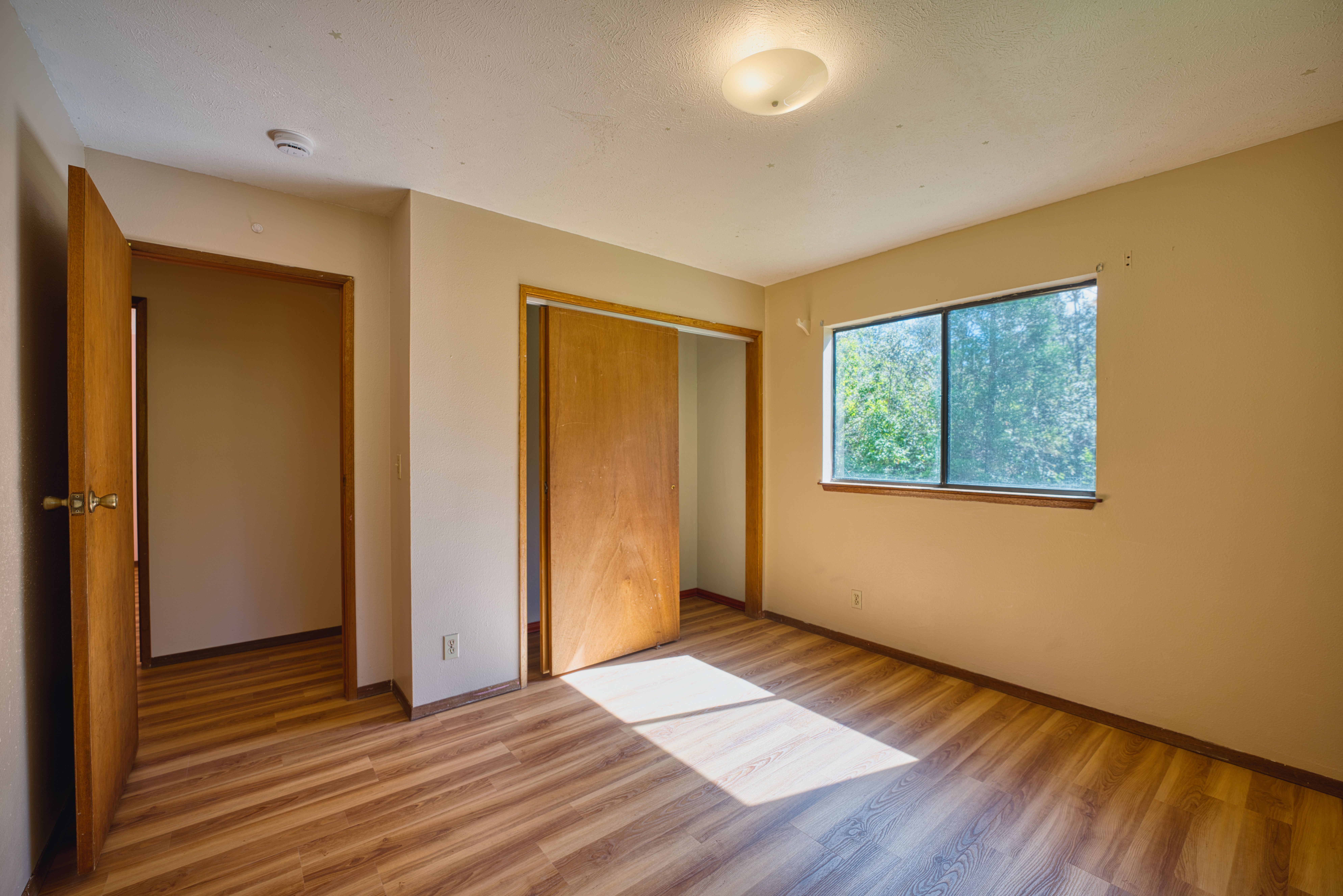  19-4159 Anuhea Circle Dr, Volcano, HI, 96785 - 物件實景