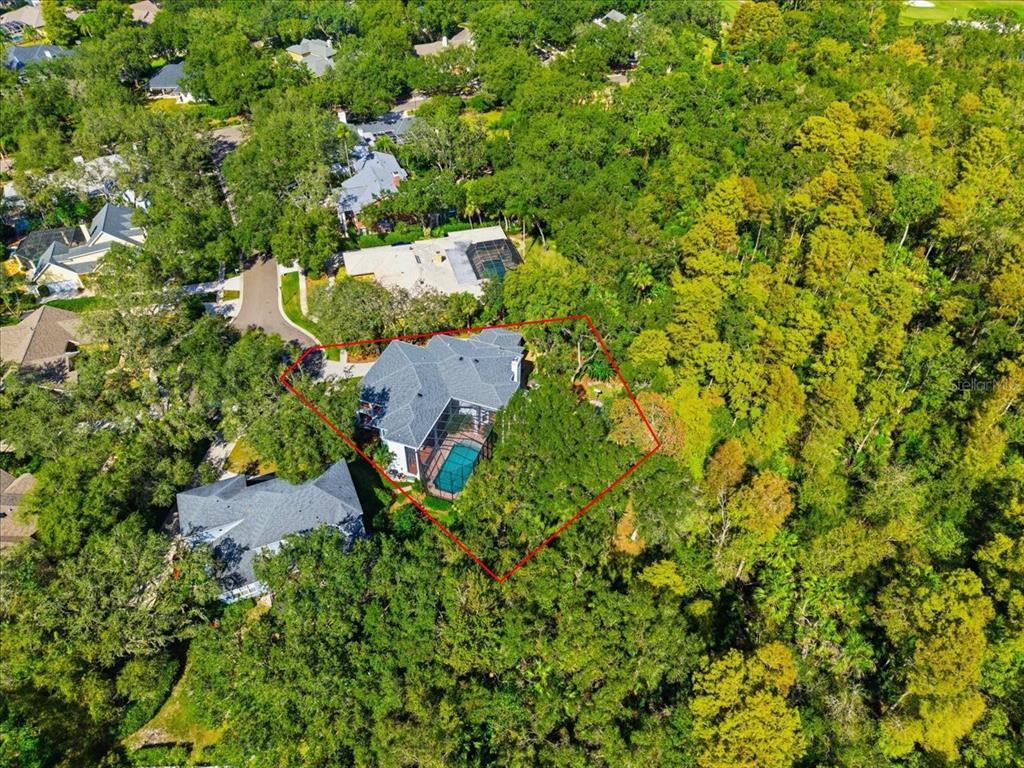 Tampa, Florida, 33647, United States, 4 Bedrooms Bedrooms, ,6 BathroomsBathrooms,Residential,For Sale,1989549