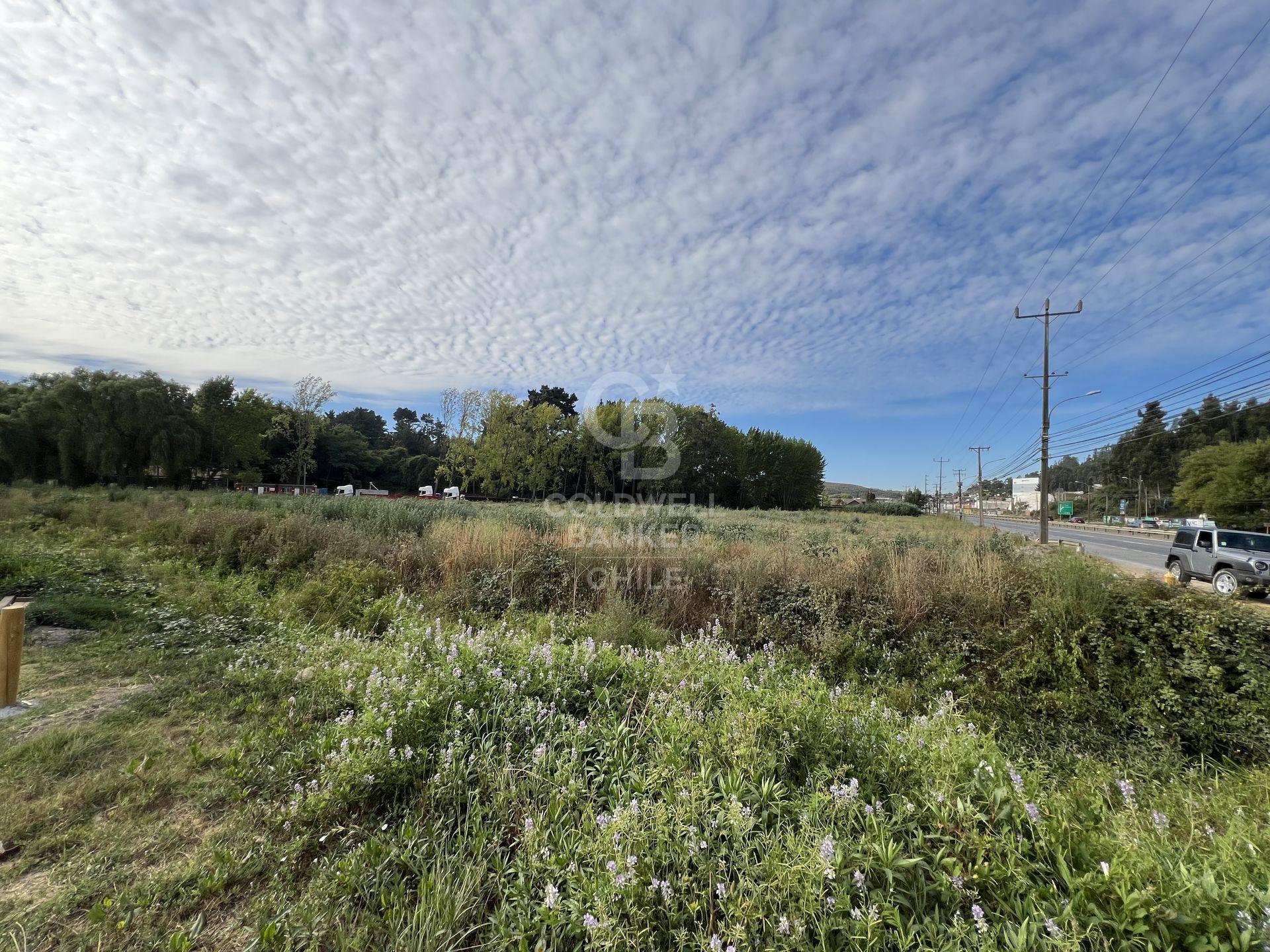 Penco, Chile, ,Land,For Sale,1957029