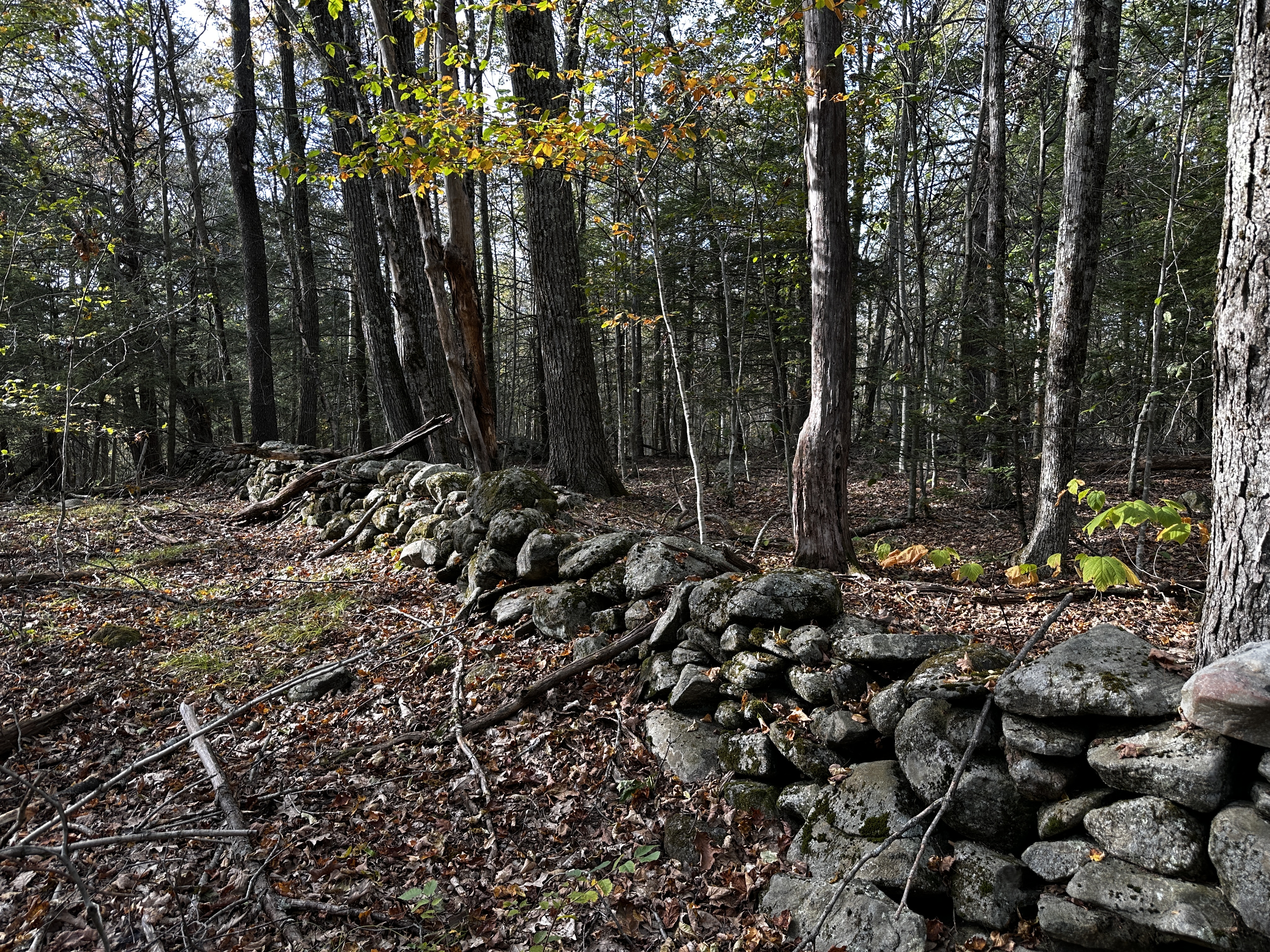  000000 Norfolk Road - 物件實景