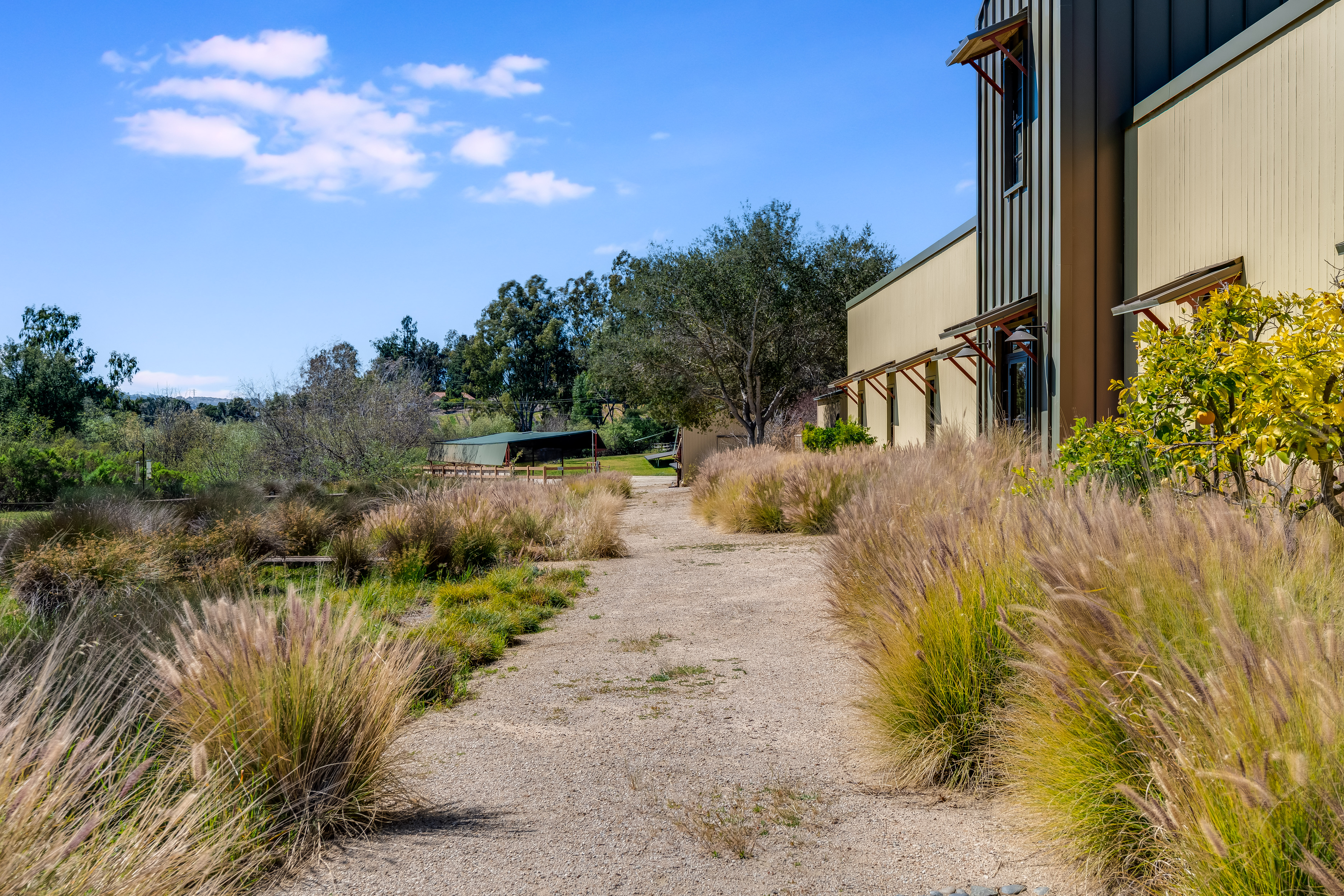  Edna Valley Wine Country Estate - 物件實景