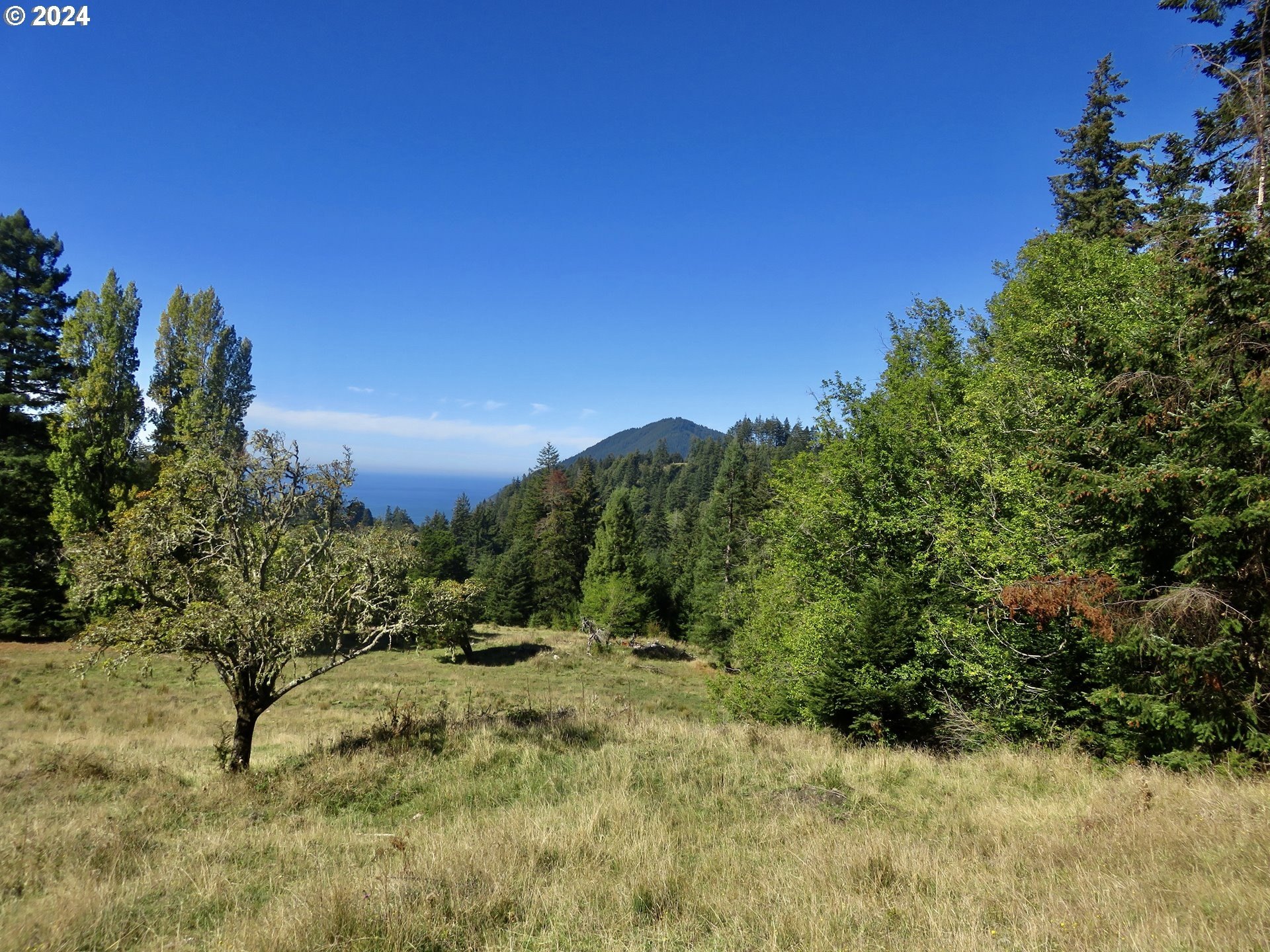 Port Orford, Oregon, 97465, United States, ,Land,For Sale,1977705