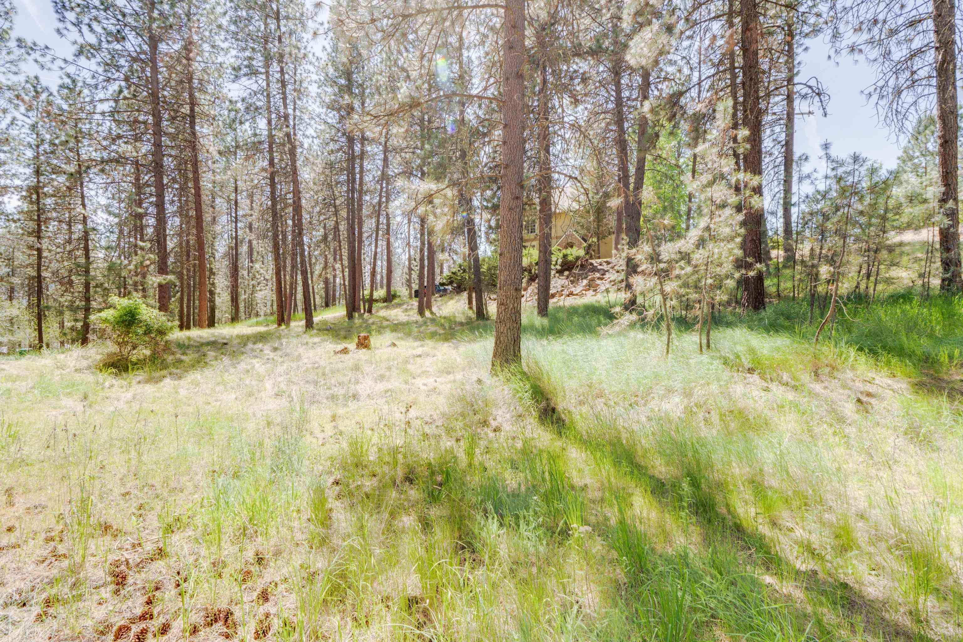 Liberty Lake, Washington, 99019, United States, 4 Bedrooms Bedrooms, ,4 BathroomsBathrooms,Residential,For Sale,1838357
