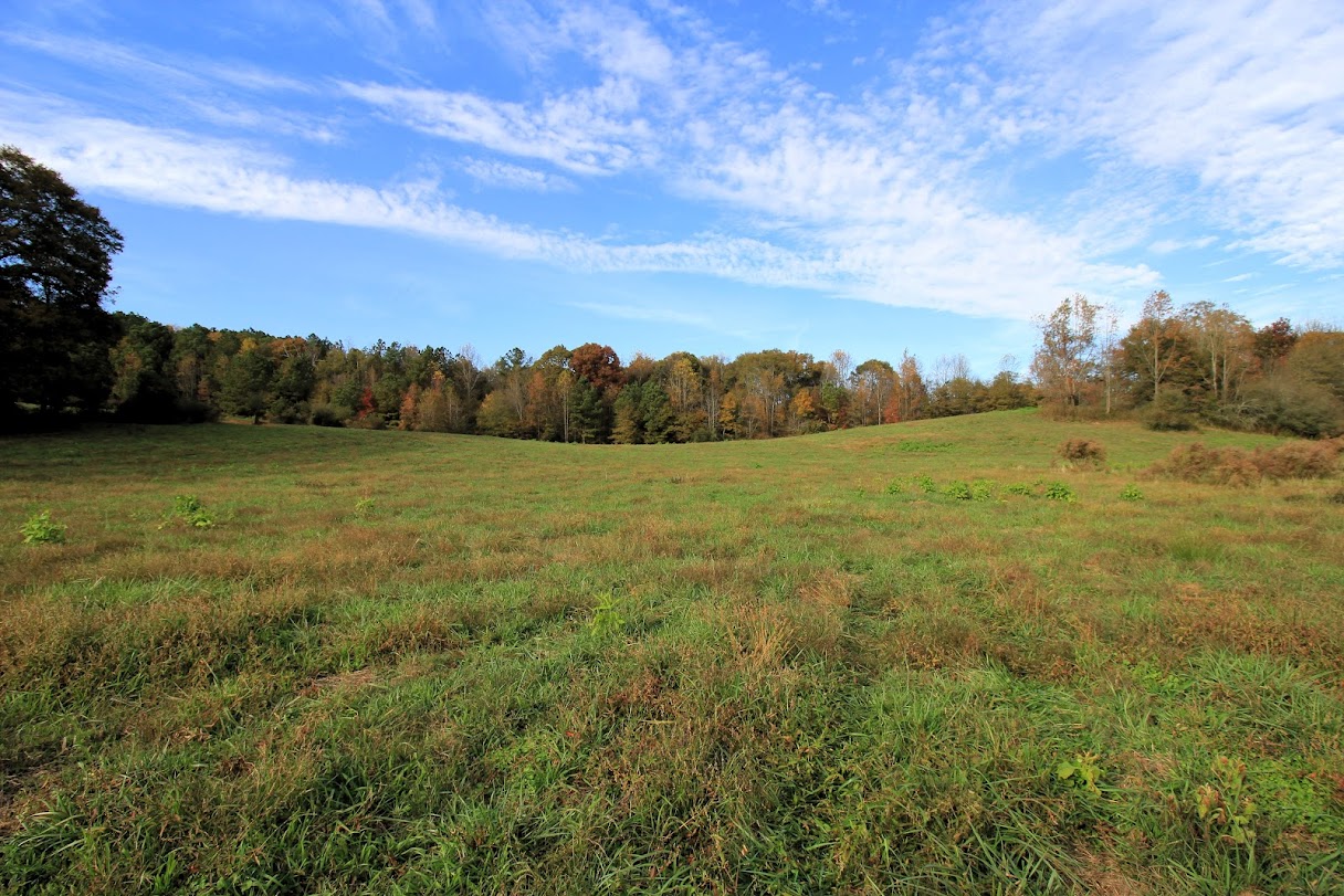 Bowdon, Georgia, 30108, United States, ,Land,For Sale,1989904