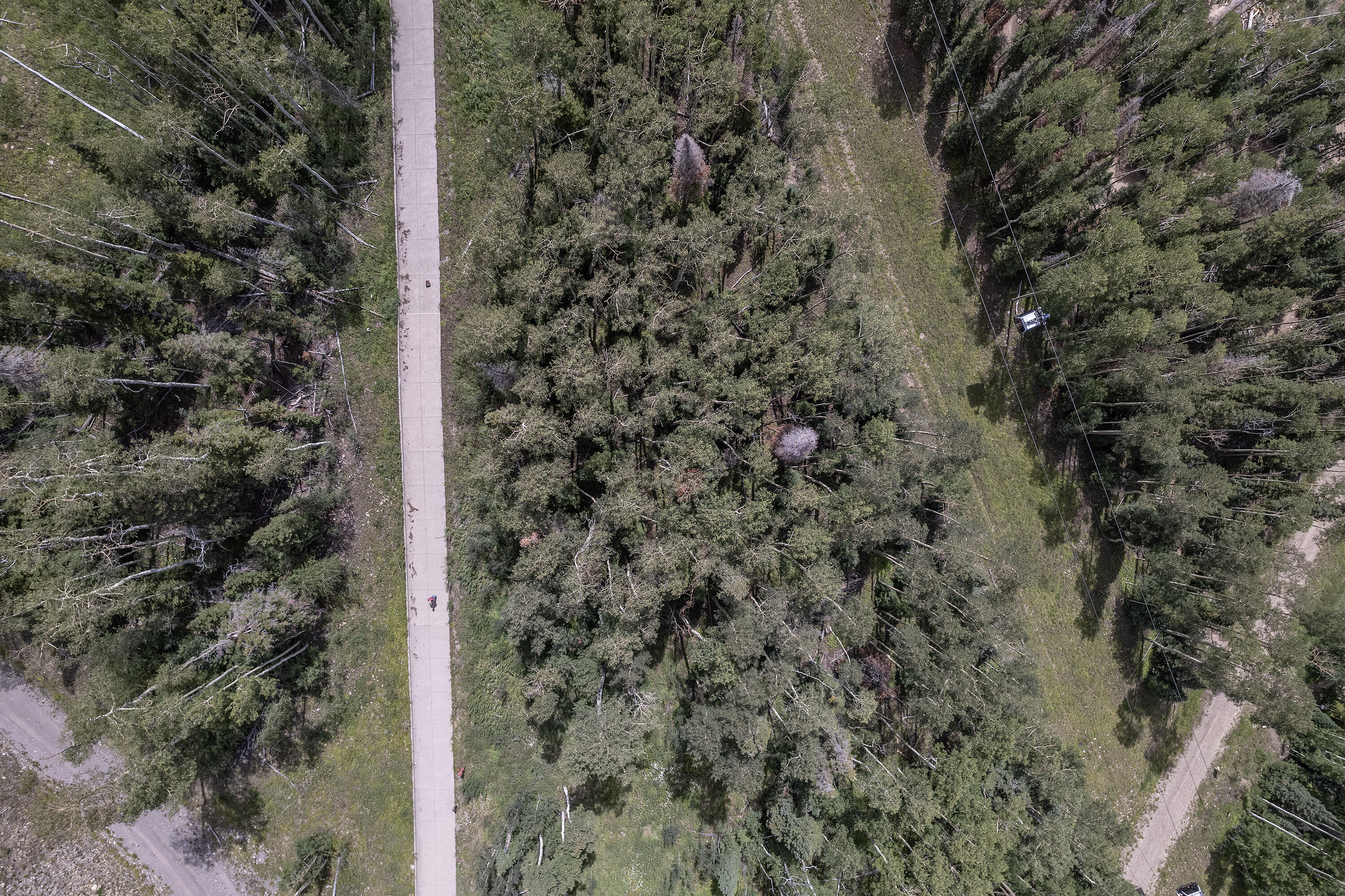 Mountain Village, Colorado, 81435, United States, ,Land,For Sale,1805145