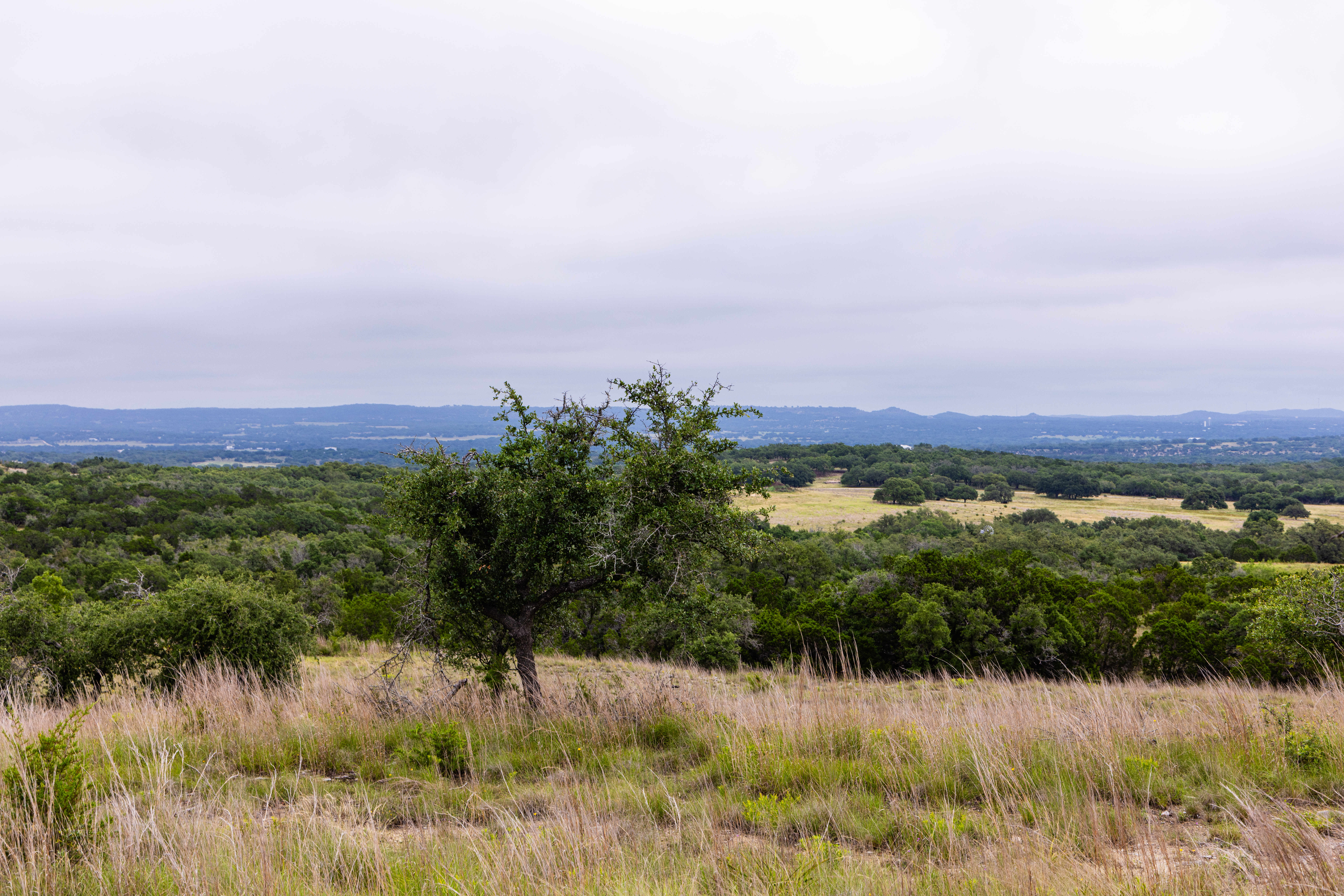  Expansive 10-Acre Lot - 物件實景