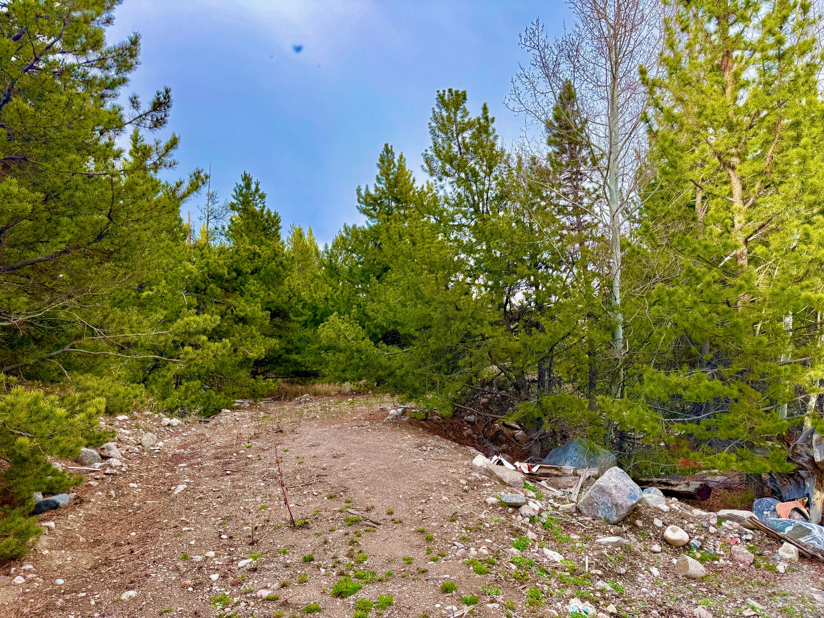  Giberson Preserve Lot 9 - 物件實景