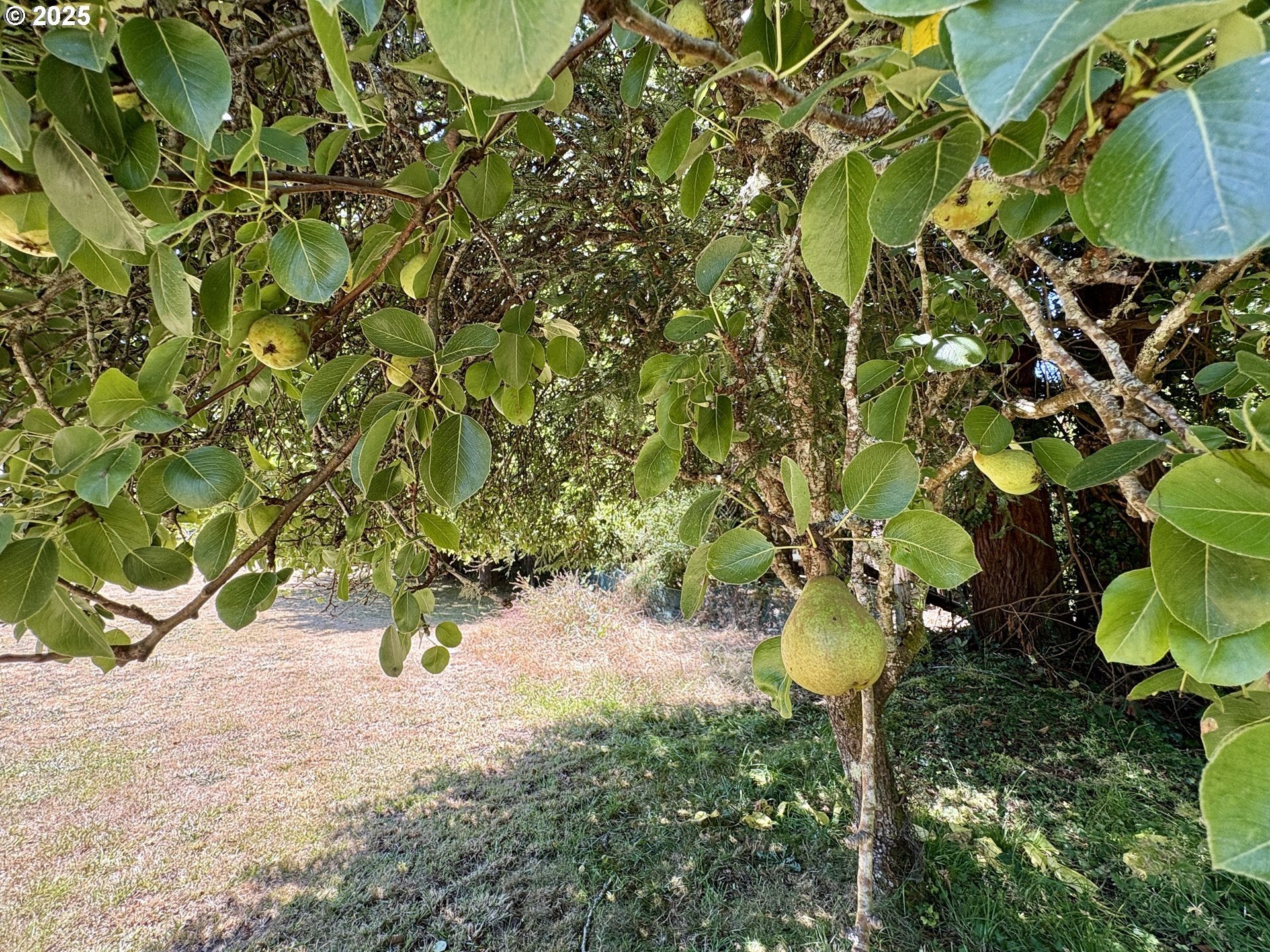 Gold Beach, Oregon, 97444, United States, 4 Bedrooms Bedrooms, ,3 BathroomsBathrooms,Residential,For Sale,1978600