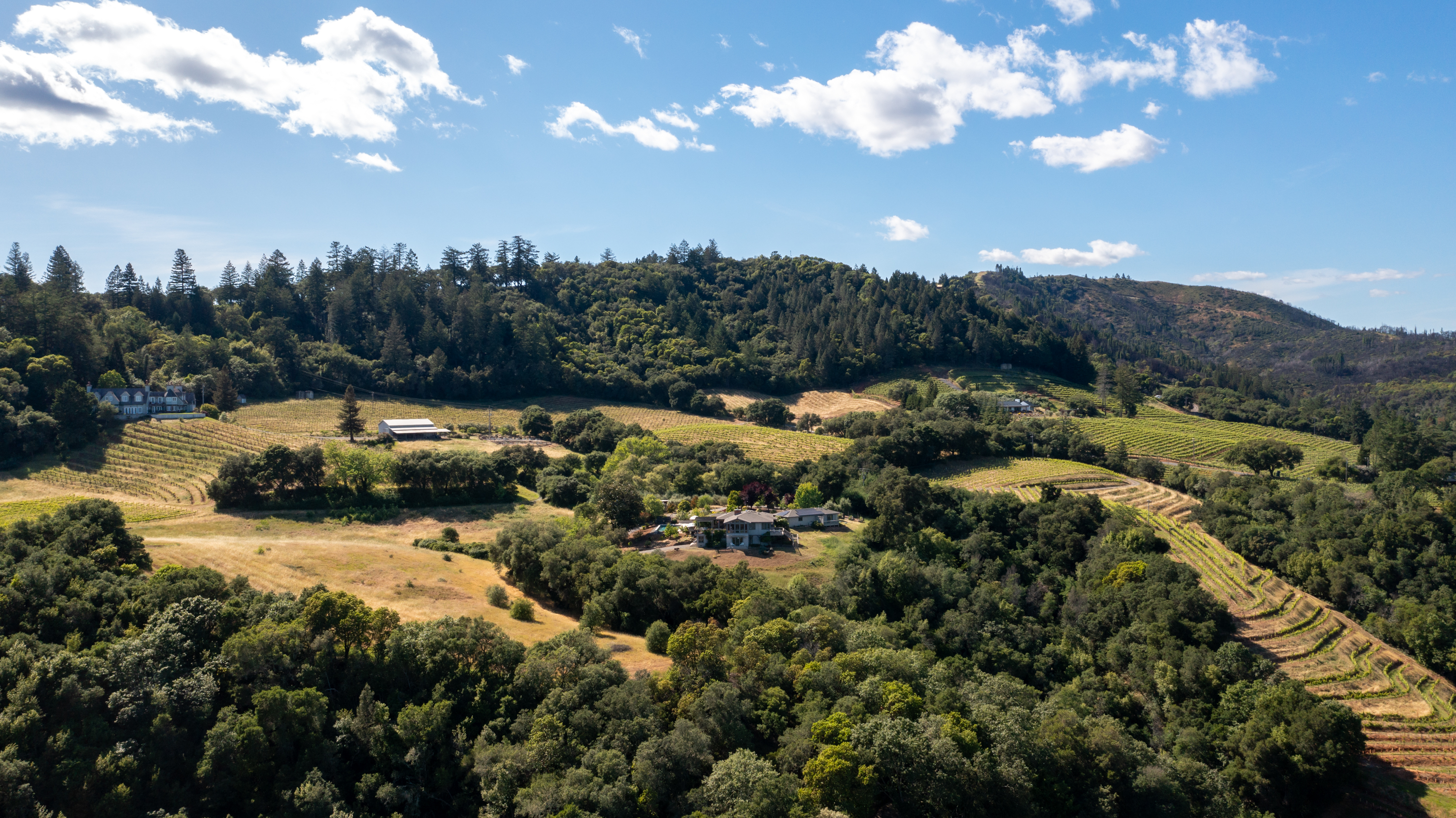  Quietly Exceptional Dry Creek Valley Estate - 物件實景