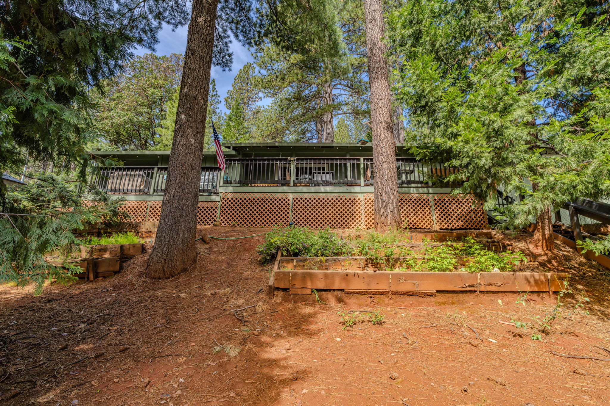  19021 Mace Drive, Pioneer, CA 95666 - 物件實景
