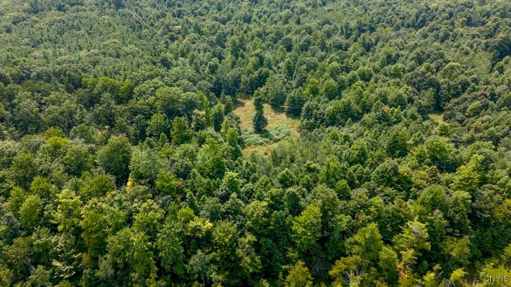 00 Cr-12, Pennellville, New York, 13132, United States, ,Land,For Sale,00 Cr-12,1621343