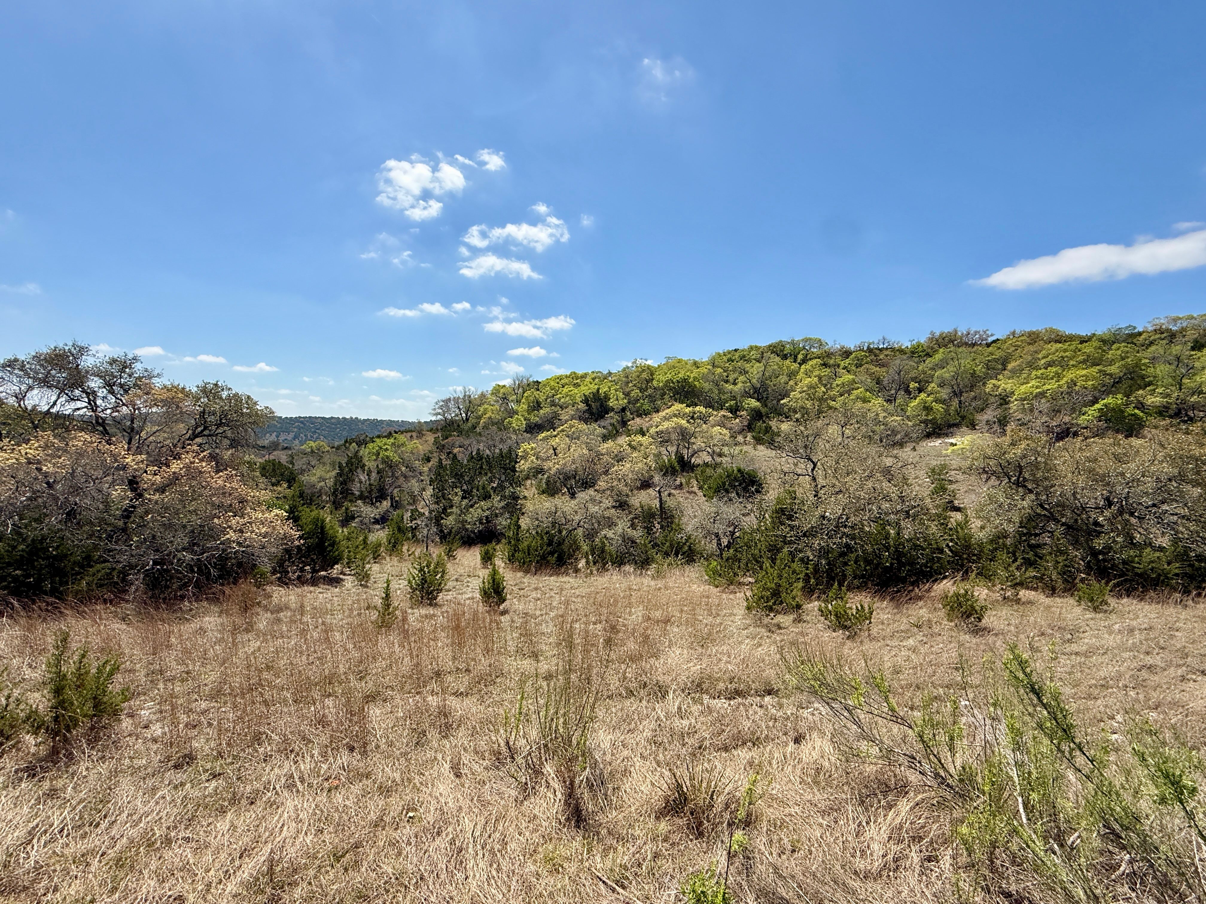  72+/- Acre Palmetto Creek Ranch - 物件實景