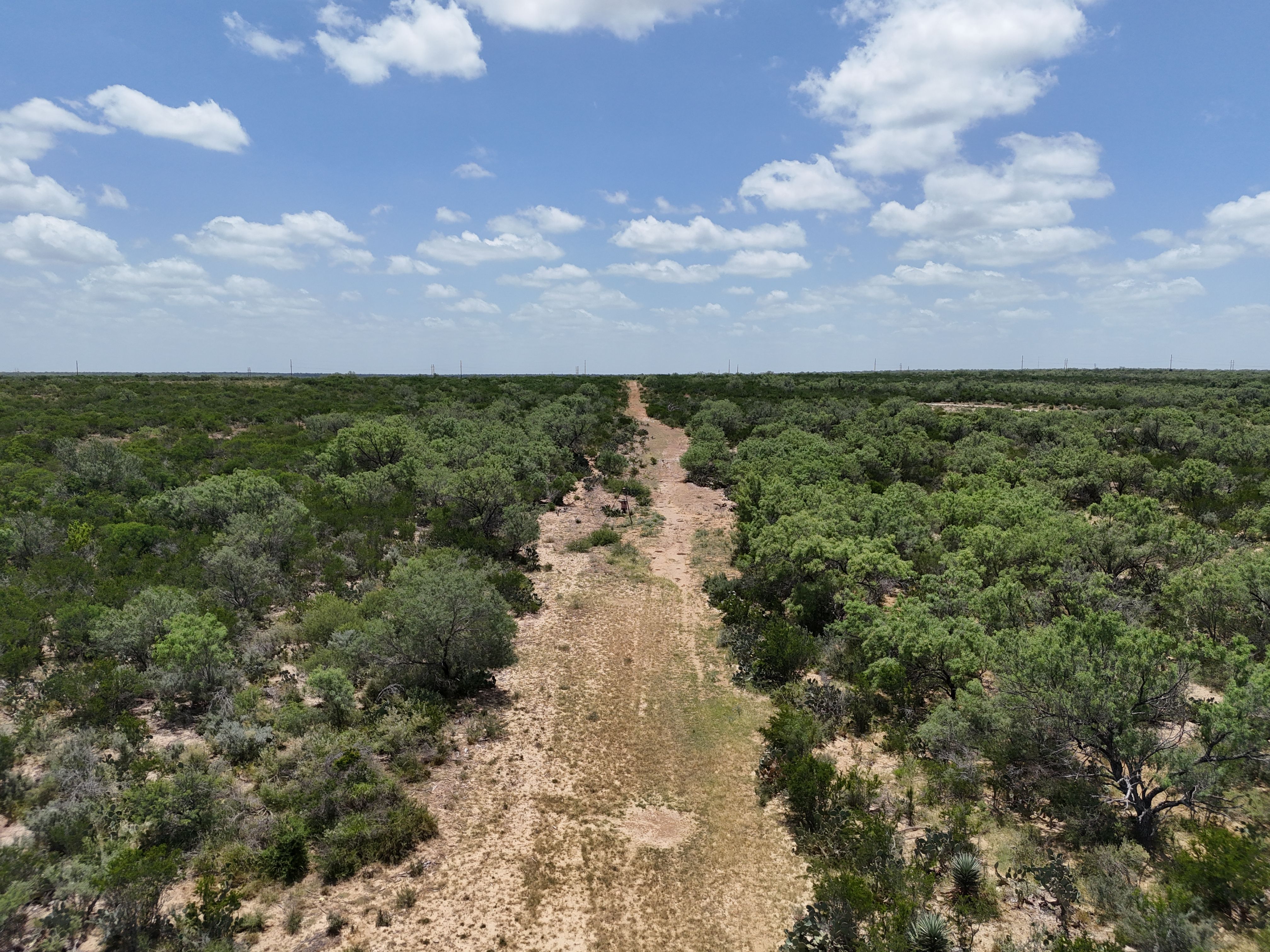  644+/- Acre Asherton Vista - 物件實景