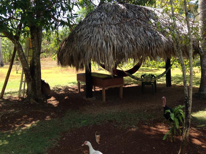 Sosua, DO, 3 Bedrooms Bedrooms, ,3 BathroomsBathrooms,Residential,For Sale,1624483