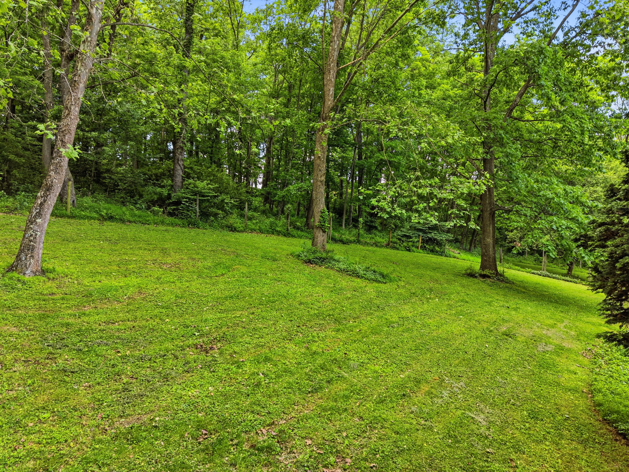  21 West Hillcrest Road, Eighty Four, PA 15330 - 物件實景