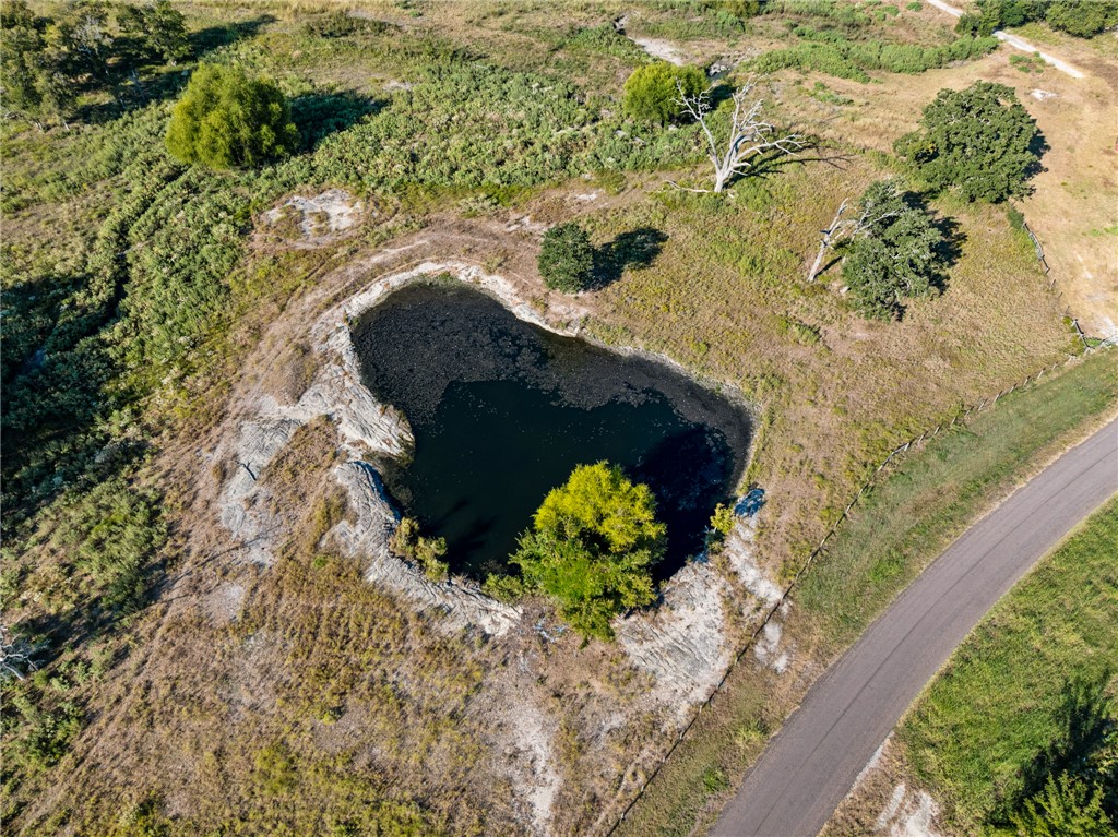 Anderson, Texas, 77830, United States, ,Land,For Sale,1983245