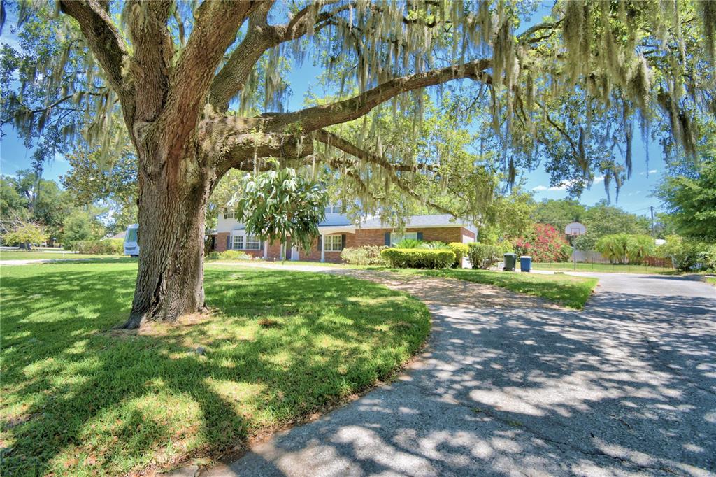 Bartow, Florida, 33830, United States, 5 Bedrooms Bedrooms, ,3 BathroomsBathrooms,Residential,For Sale,1839878