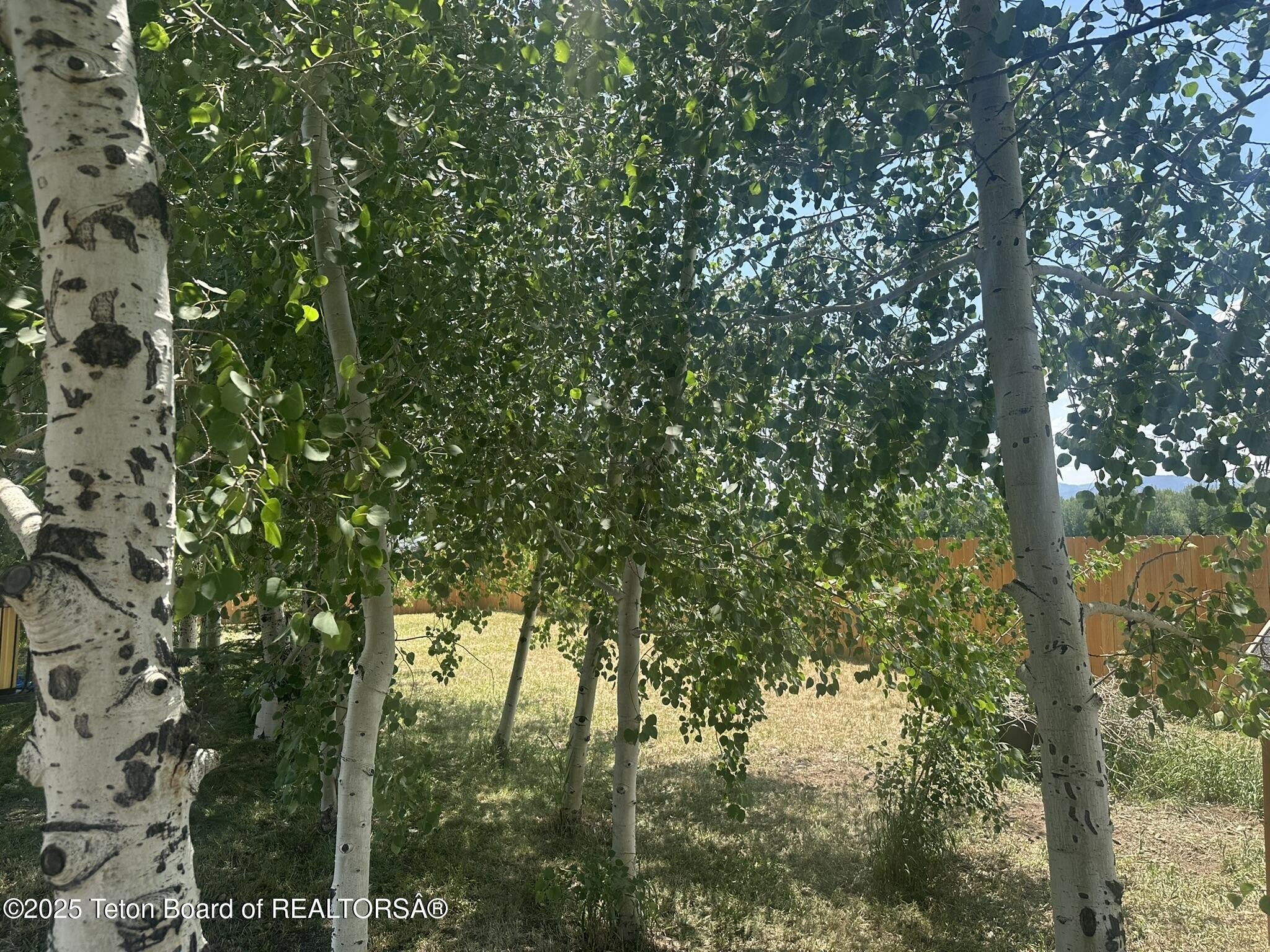 Driggs, Idaho, 83422, United States, 5 Bedrooms Bedrooms, ,2 BathroomsBathrooms,Residential,For Sale,1921681