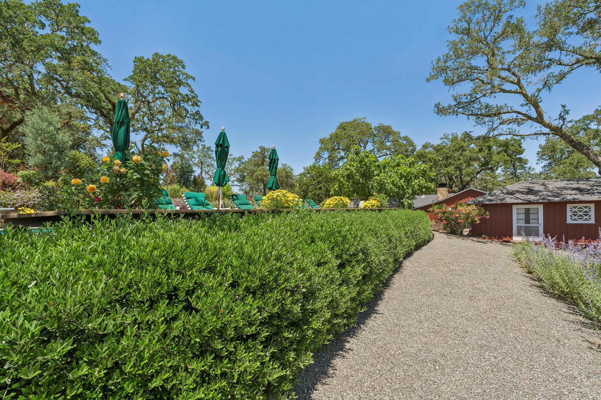  3393 St. Helena Hwy N. - 物件實景