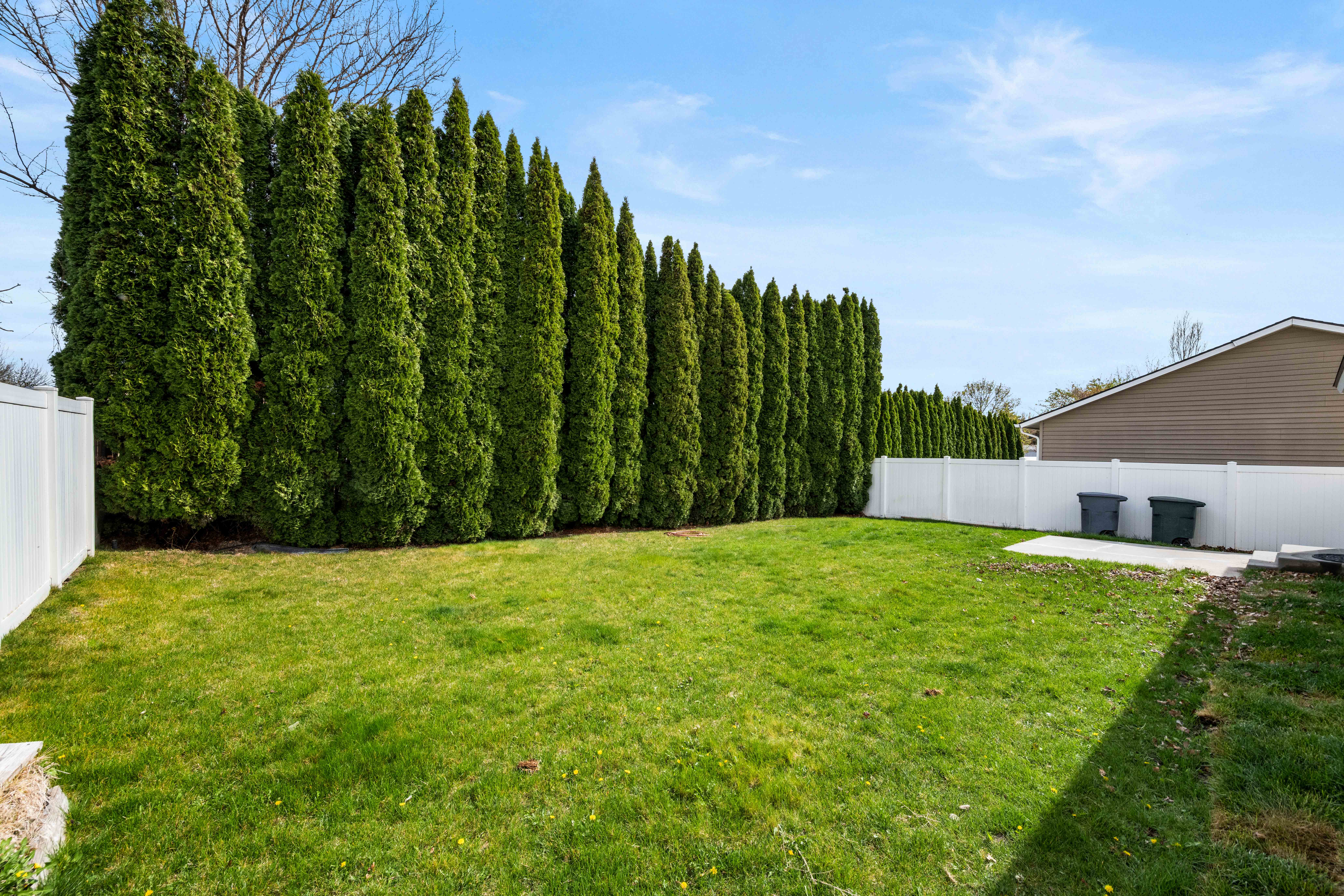  Fresh Paint and BRAND NEW ROOF - 物件實景