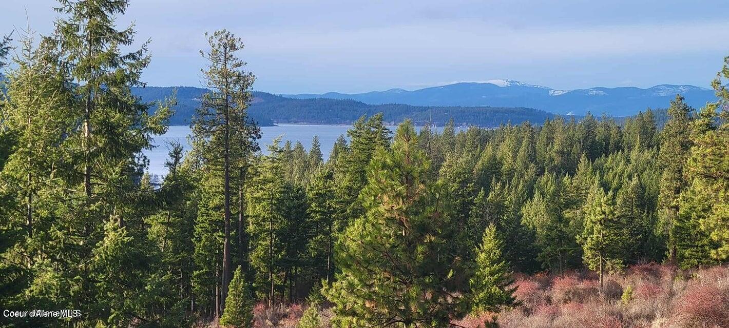 Harrison, Idaho, 83833, United States, ,Land,For Sale,2024065