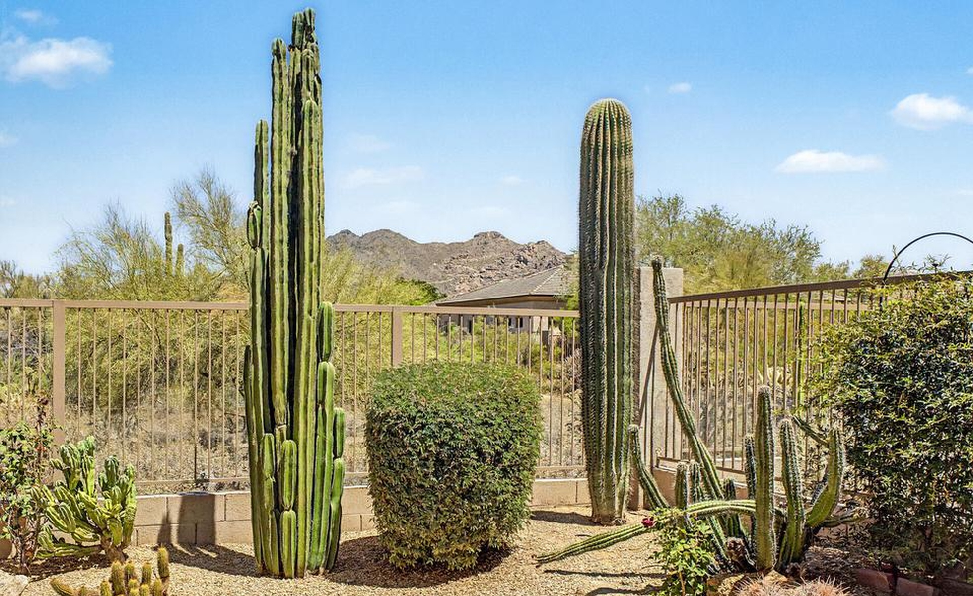  6708 East Soaring Eagle Way  Scottsdale, AZ - 物件實景