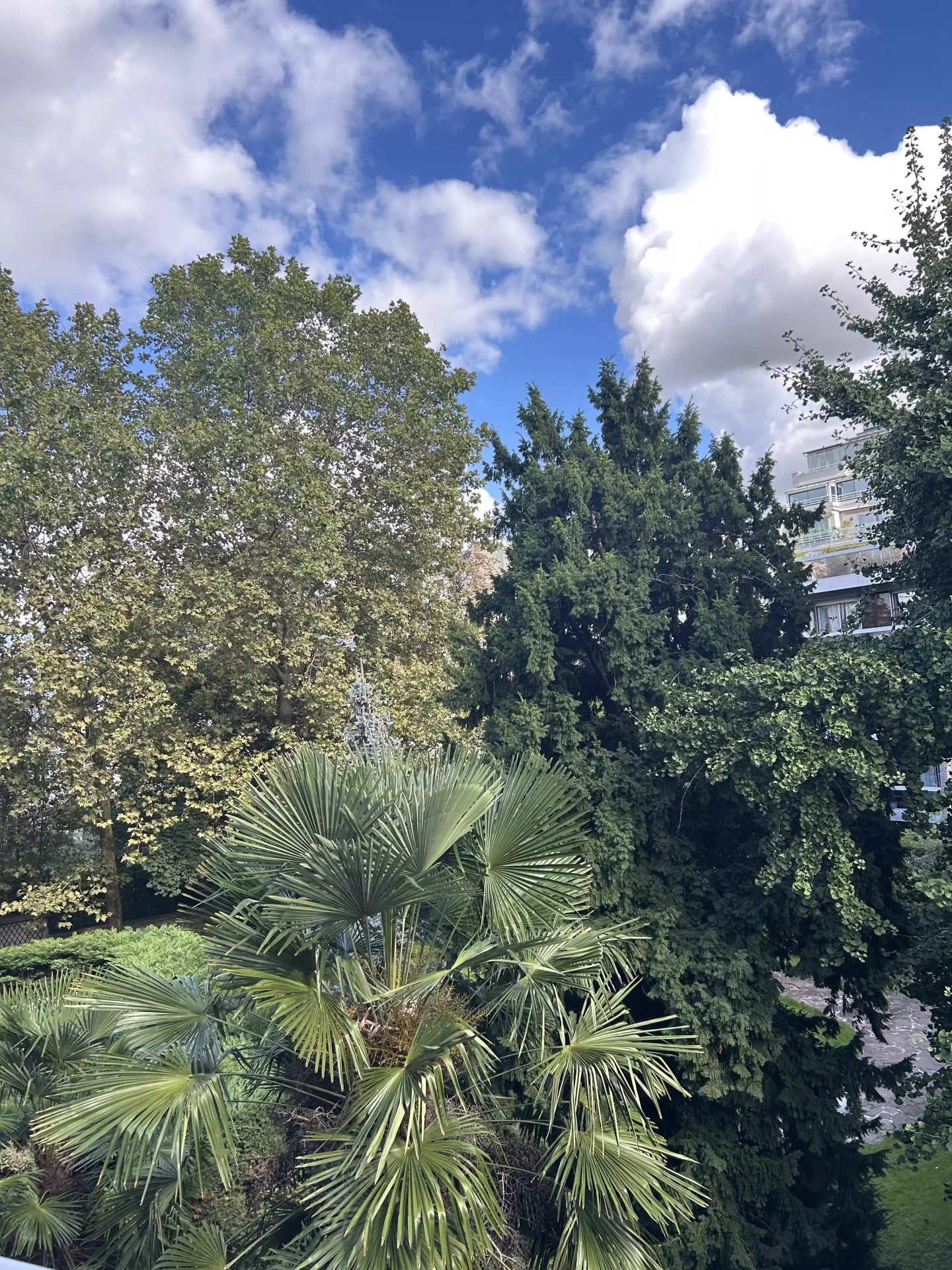 Boulogne-Billancourt, Île-de-France, 92100, FR, 1 Bedroom Bedrooms, ,2 BathroomsBathrooms,Residential,For Sale,1634819