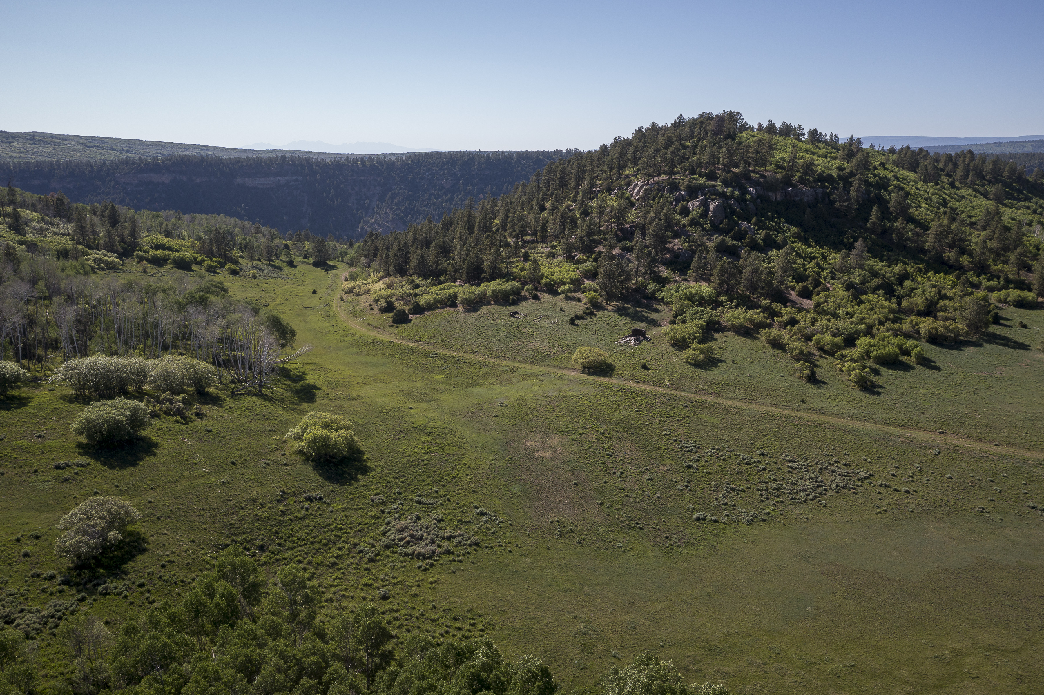  Telluride Renegade Ranch - 602 acres on Hastings Mesa - 物件實景