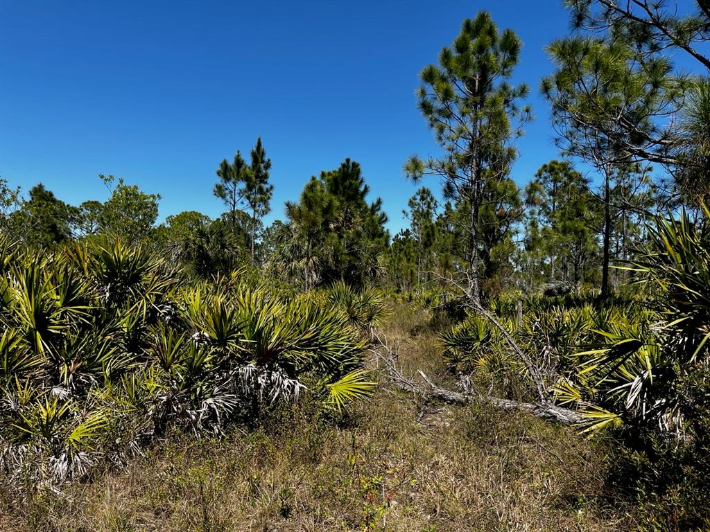 Punta Gorda, Florida, 33982, United States, ,Land,For Sale,1840783