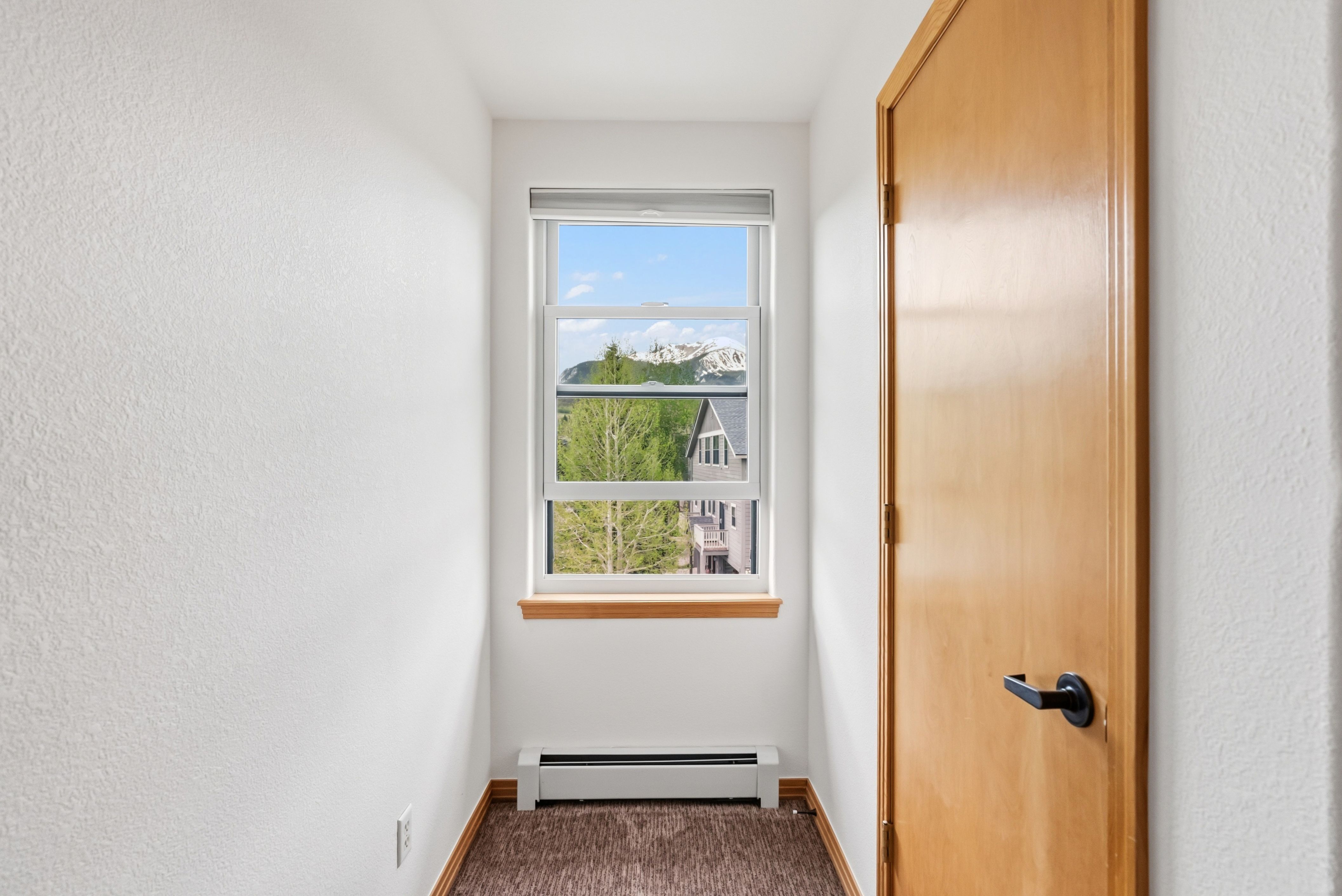  135 Creek Lane, Silverthorne, CO, 80498 - 物件實景