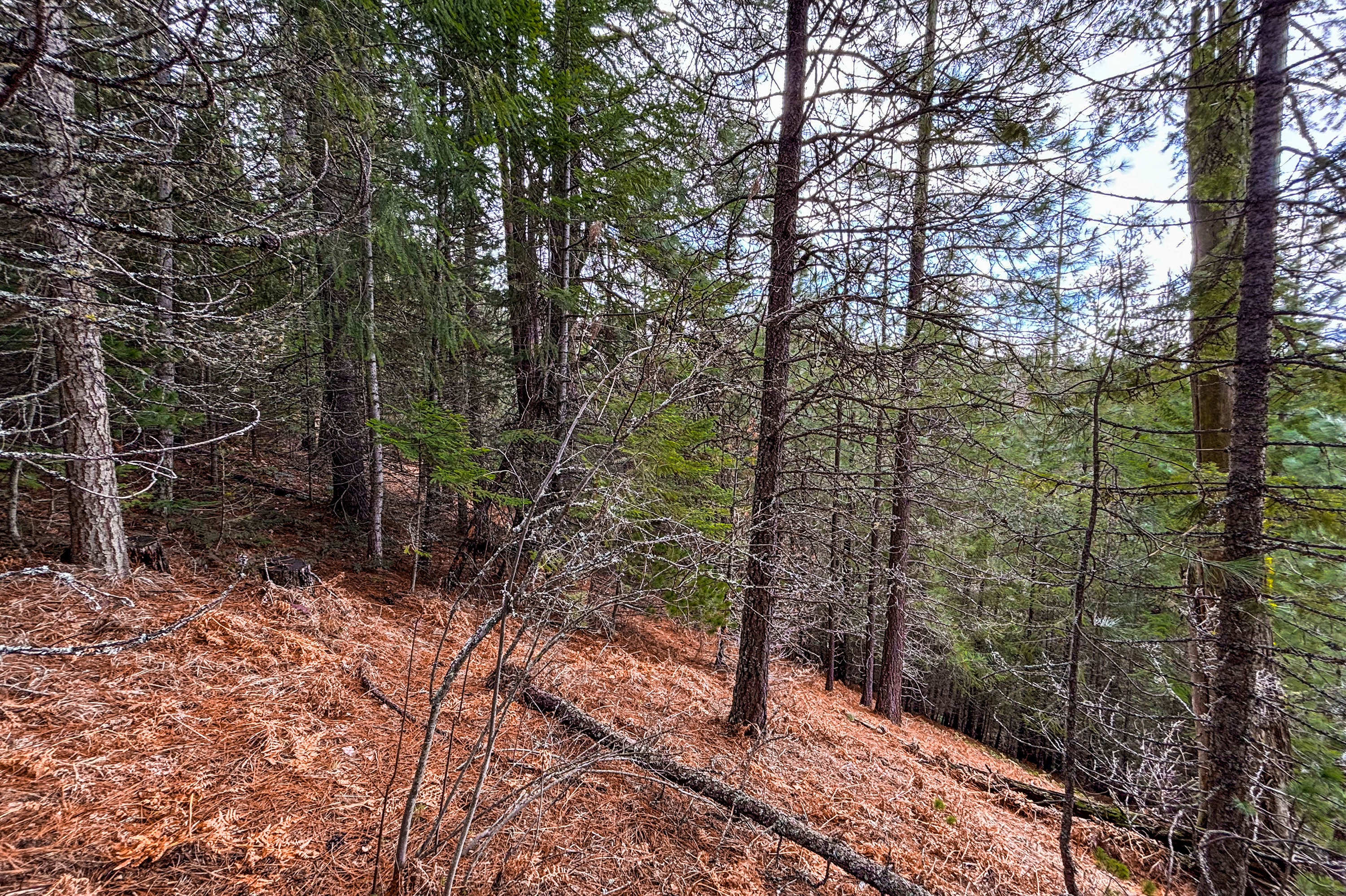 Sandpoint, Idaho, 83864, United States, ,Land,For Sale,2016068