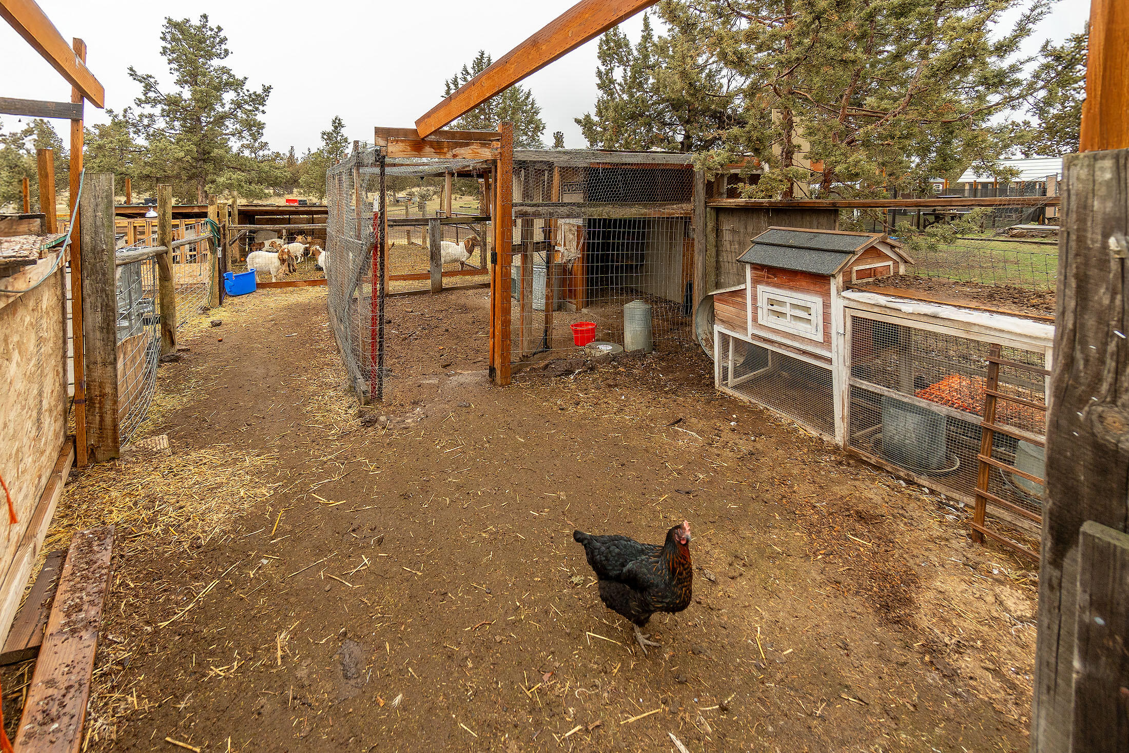 Redmond, Oregon, 97756, United States, 3 Bedrooms Bedrooms, ,2 BathroomsBathrooms,Residential,For Sale,1735905