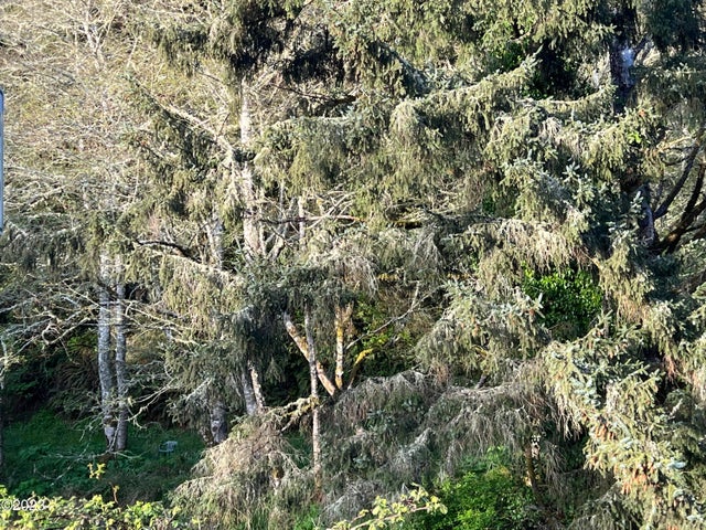 Pacific City, Oregon, 97135, United States, ,Land,For Sale,1977303