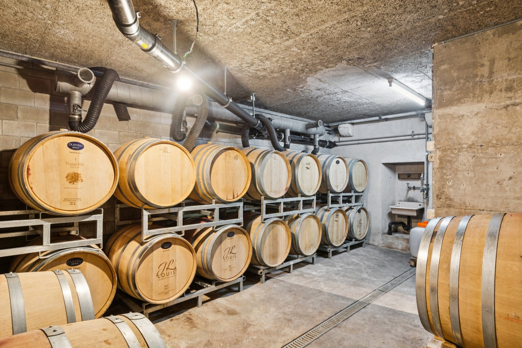  PURE VINES & THE HISTORY OF WINE-MAKING ON THE SHORES OF LAKE BIEL - 物件實景