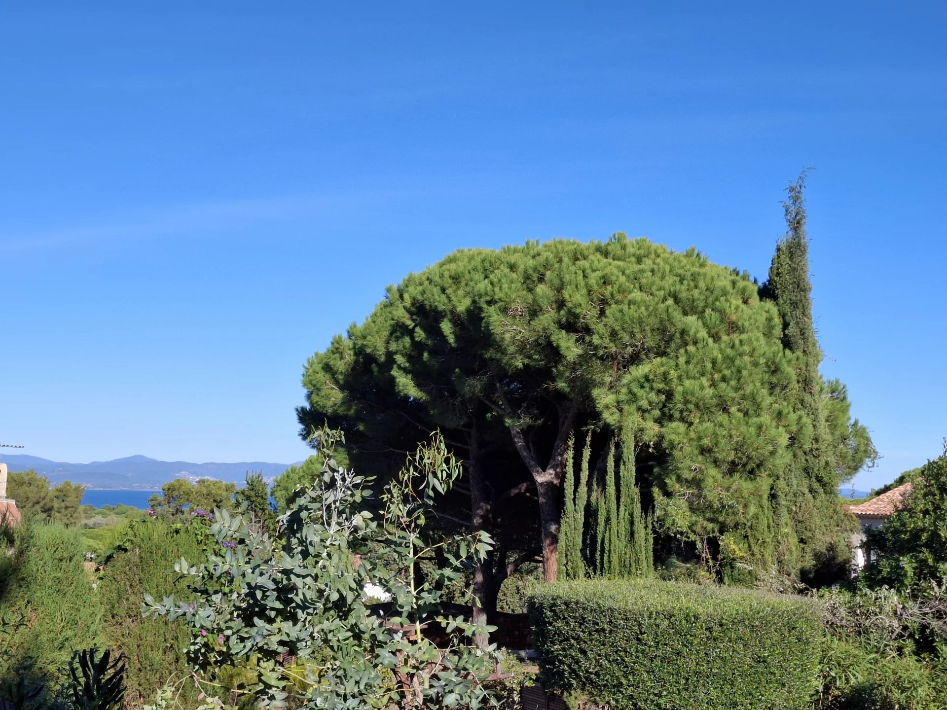 Hyères, Provence-Alpes-Côte d’Azur, 83400, FR, 3 Bedrooms Bedrooms, ,3 BathroomsBathrooms,Residential,For Sale,1987881