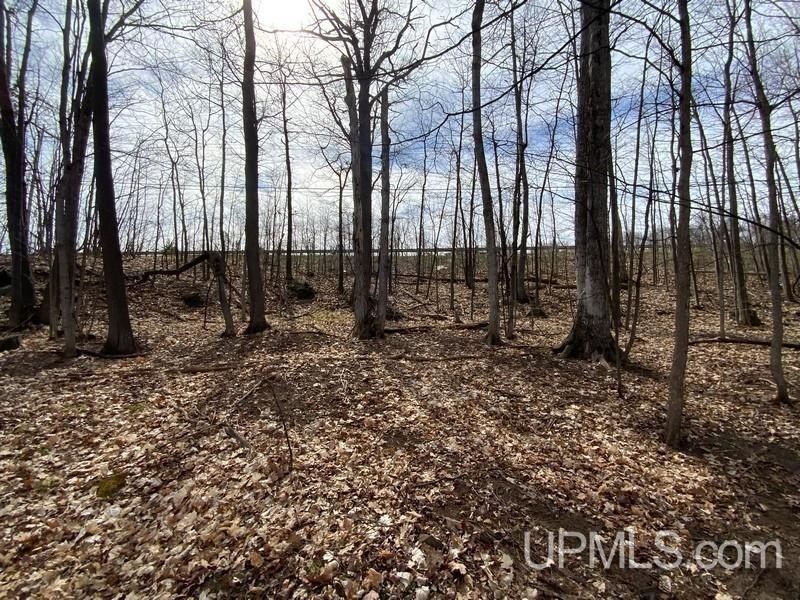 TBD W US 41, Marquette, Michigan, 49855, United States, ,Residential,For Sale,TBD W US 41,1601608
