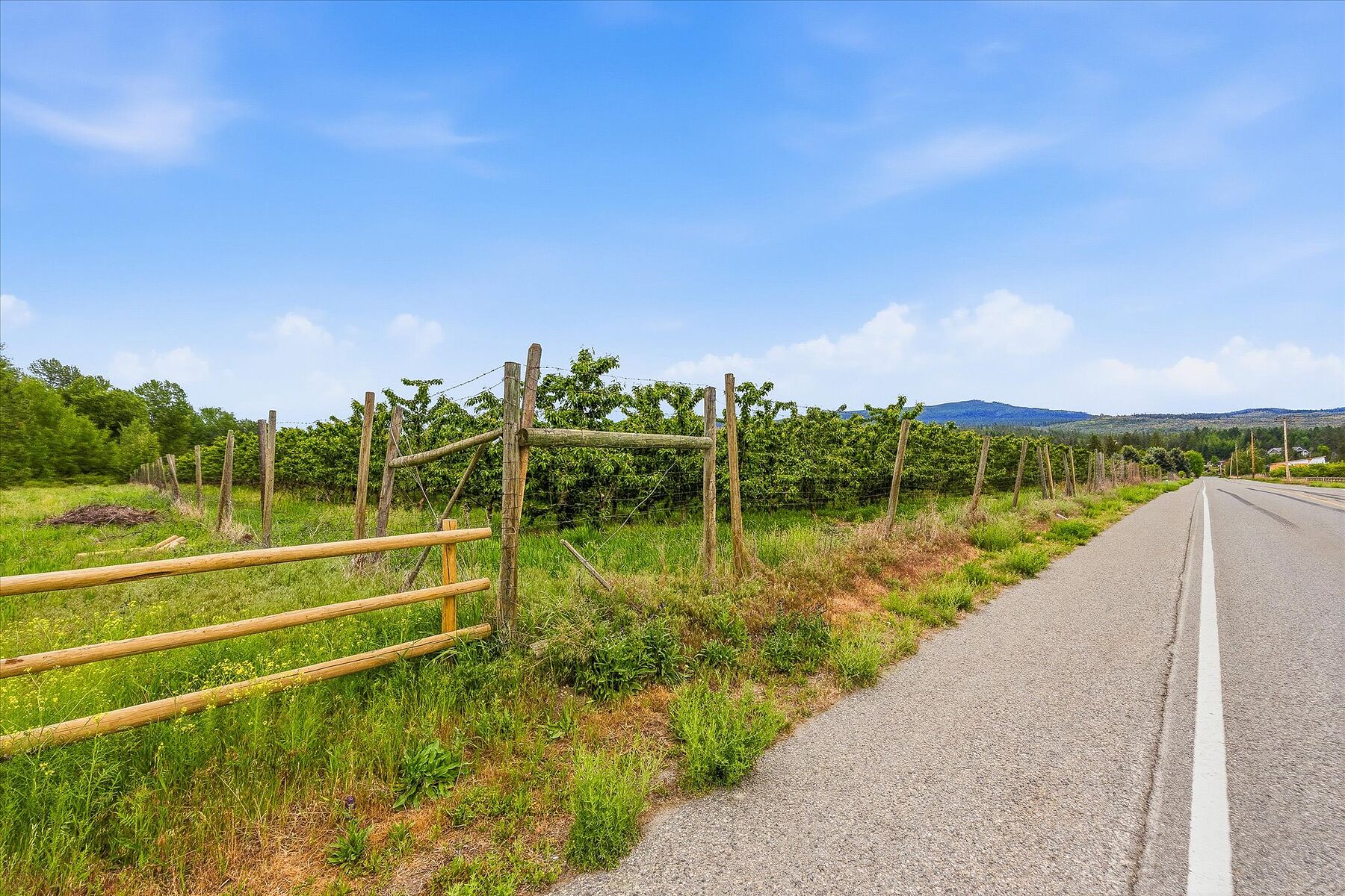  17.66 Acre Cherry Orchard - 物件實景