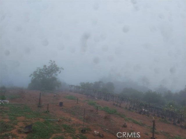 Fallbrook, California, 92028, United States, 2 Bedrooms Bedrooms, ,3 BathroomsBathrooms,Residential,For Sale,1979251