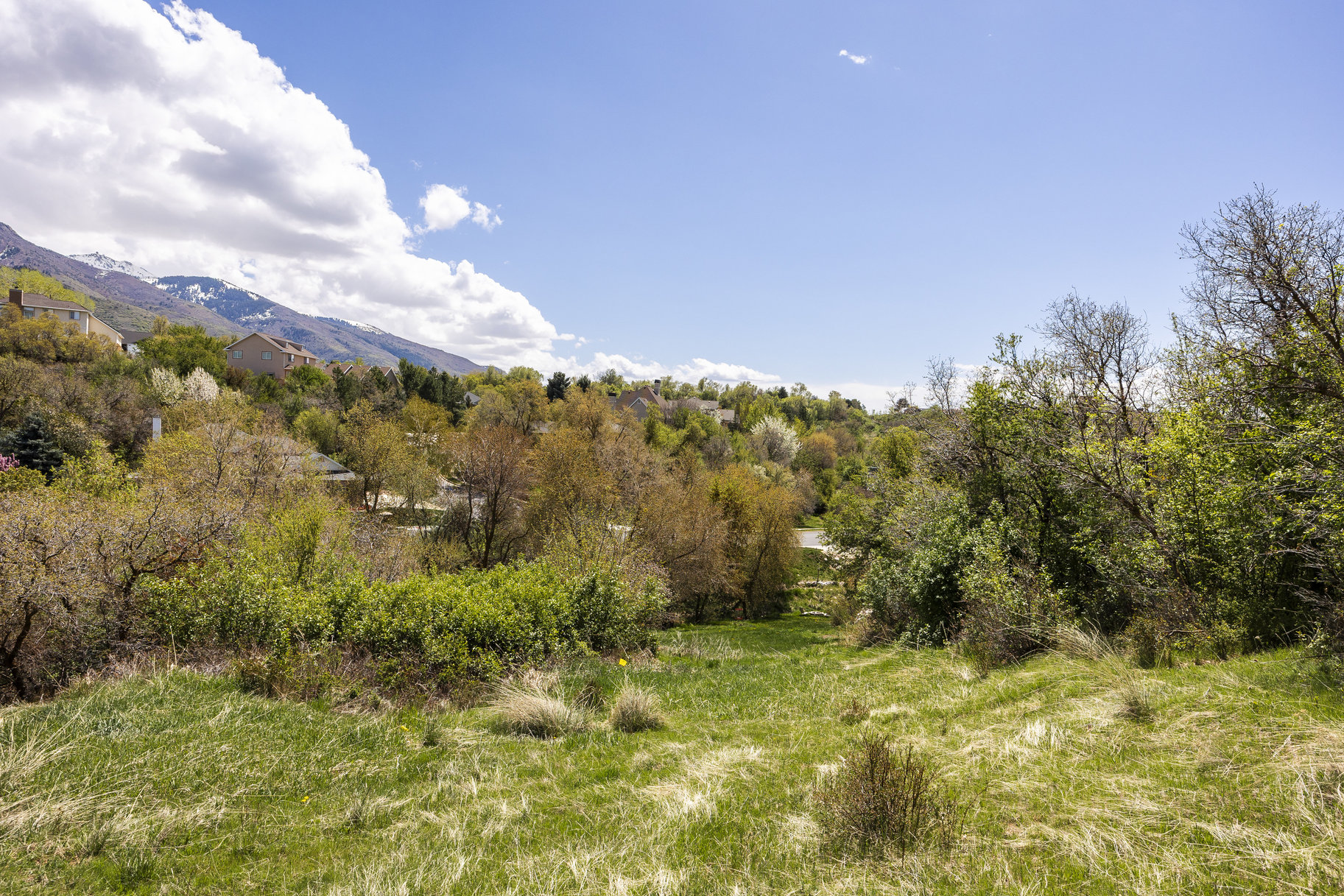  1.47 Acre Lot In East Layton With Endless Possibilities - 物件實景